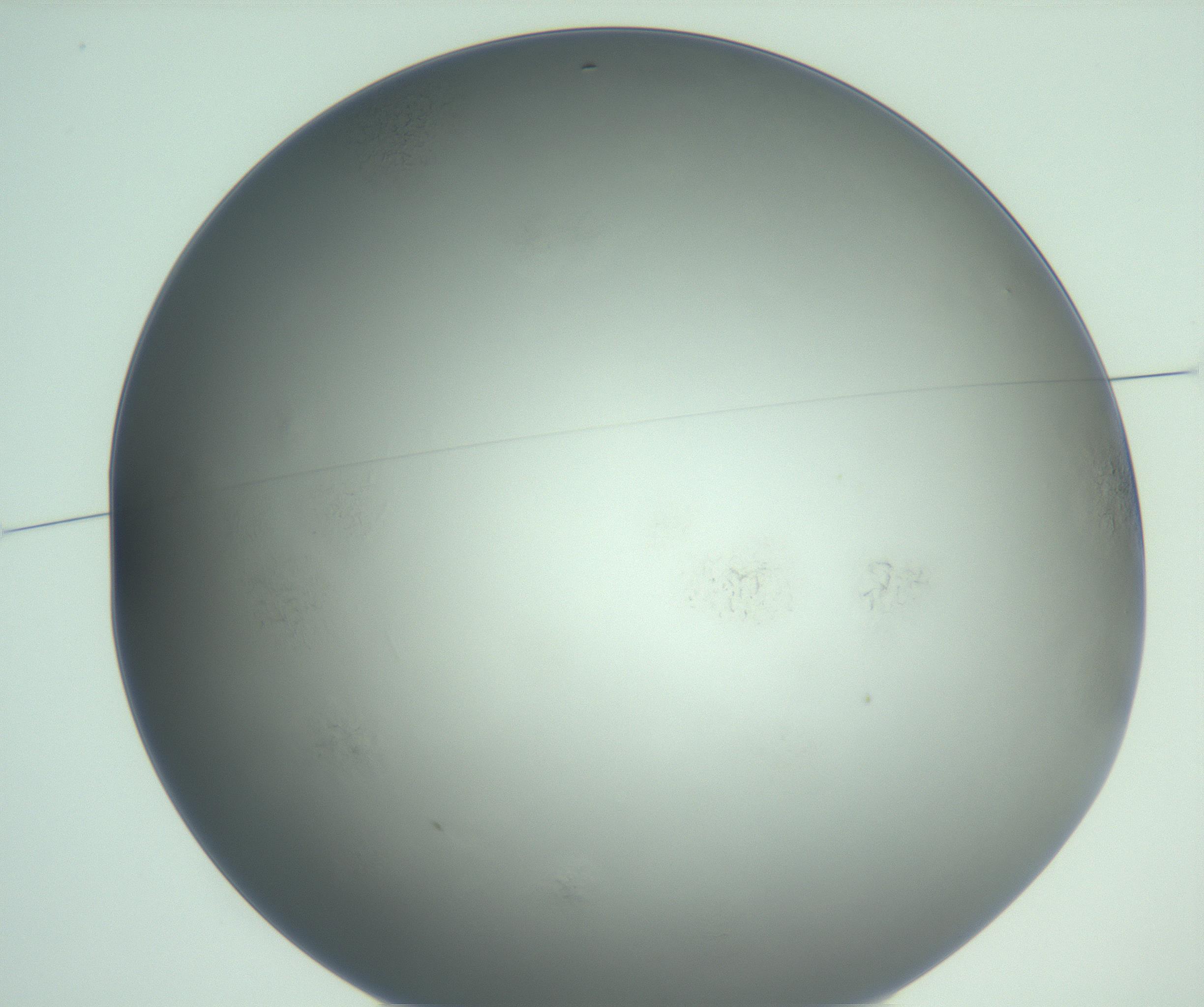 RI01_03_000_0212_Proj1_Clon1_MC_0000MC103121_005_161216_02_01_01_00_99_002_001_RAI.jpg
