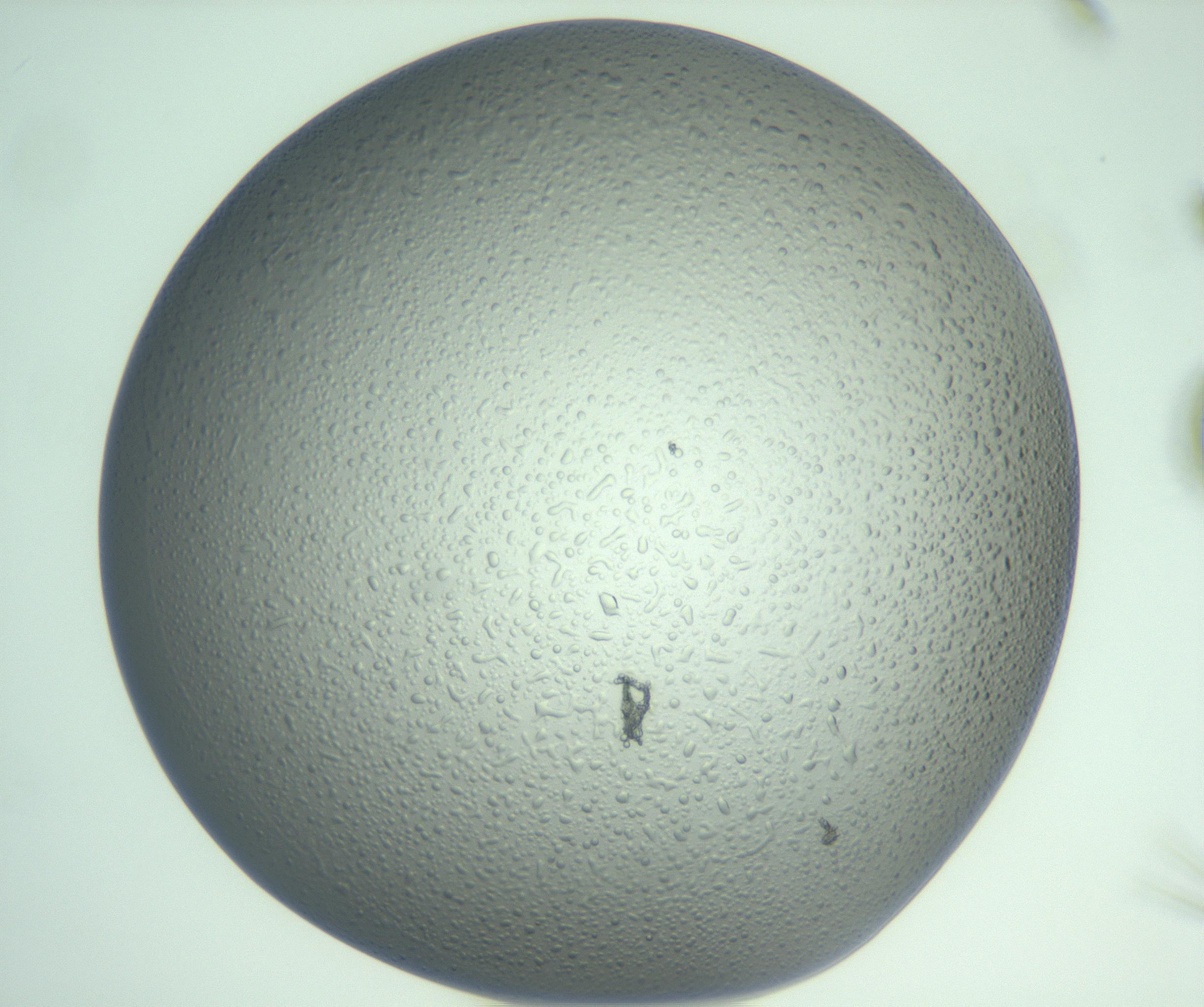 RI01_03_000_0212_Proj1_Clon1_MC_0000MC103121_010_170113_12_01_01_00_99_002_001_RAI.jpg