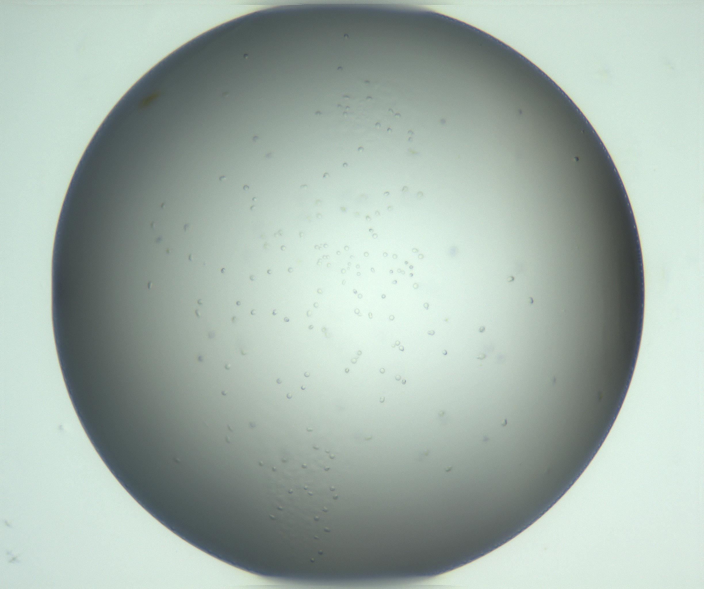 RI01_03_000_0212_Proj1_Clon1_MC_0000MC103122_004_161214_09_05_01_00_99_002_001_RAI.jpg