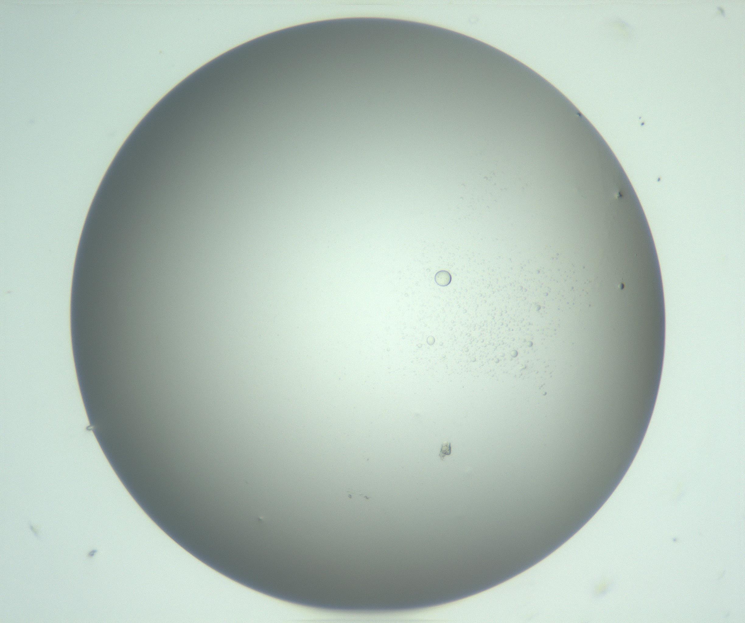 RI01_03_000_0212_Proj1_Clon1_MC_0000MC103122_005_161216_05_04_02_00_99_002_001_RAI.jpg