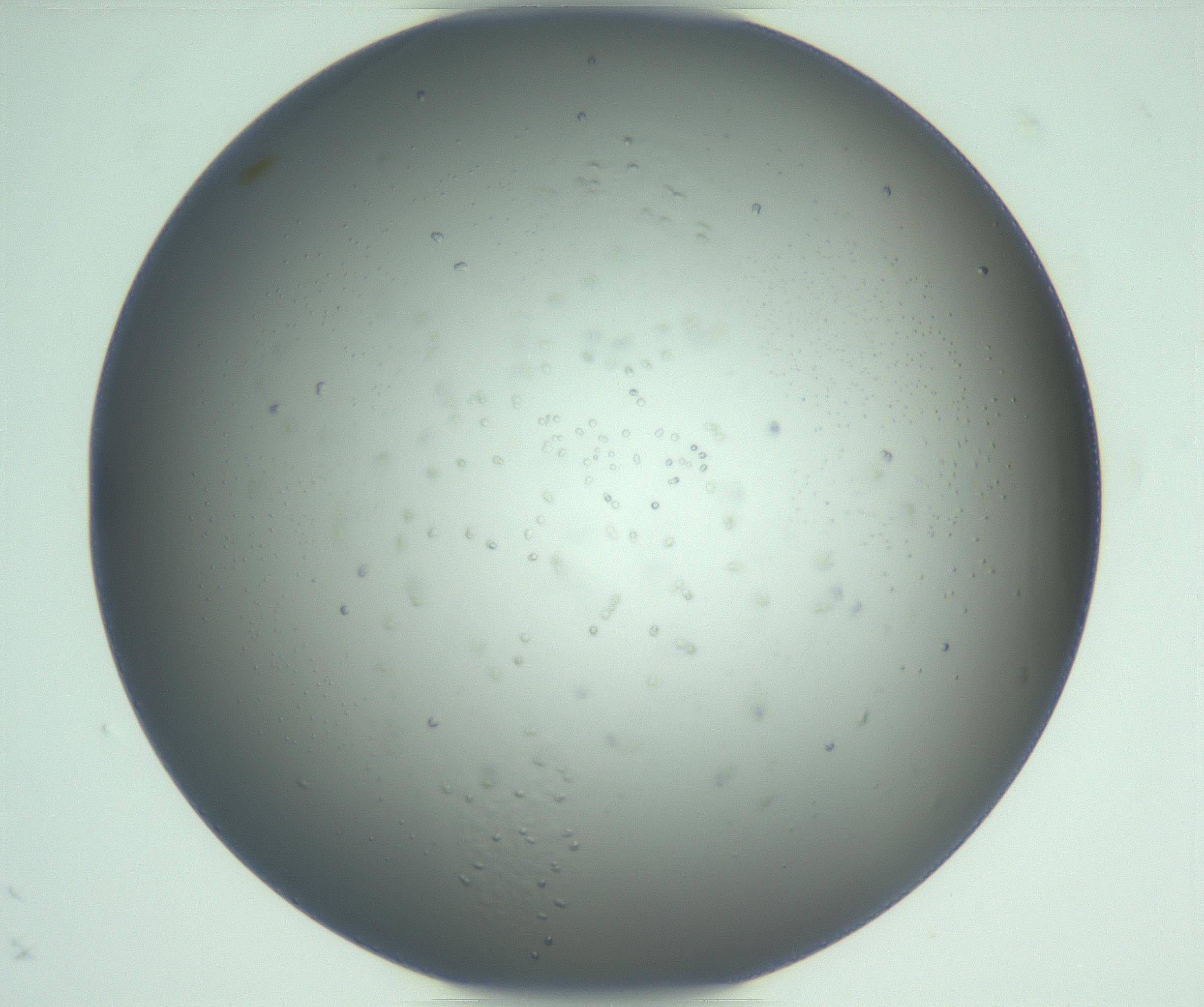 RI01_03_000_0212_Proj1_Clon1_MC_0000MC103122_005_161216_09_05_01_00_99_002_001_RAI.jpg