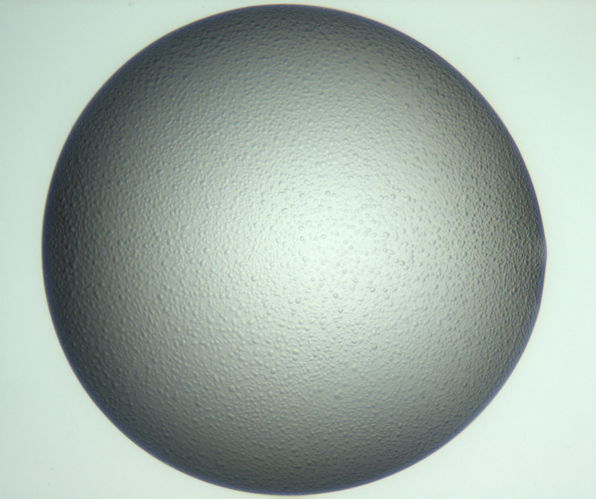 RI01_03_000_0212_Proj1_Clon1_MC_0000MC103123_005_161216_04_05_01_00_99_002_001_RAI.jpg
