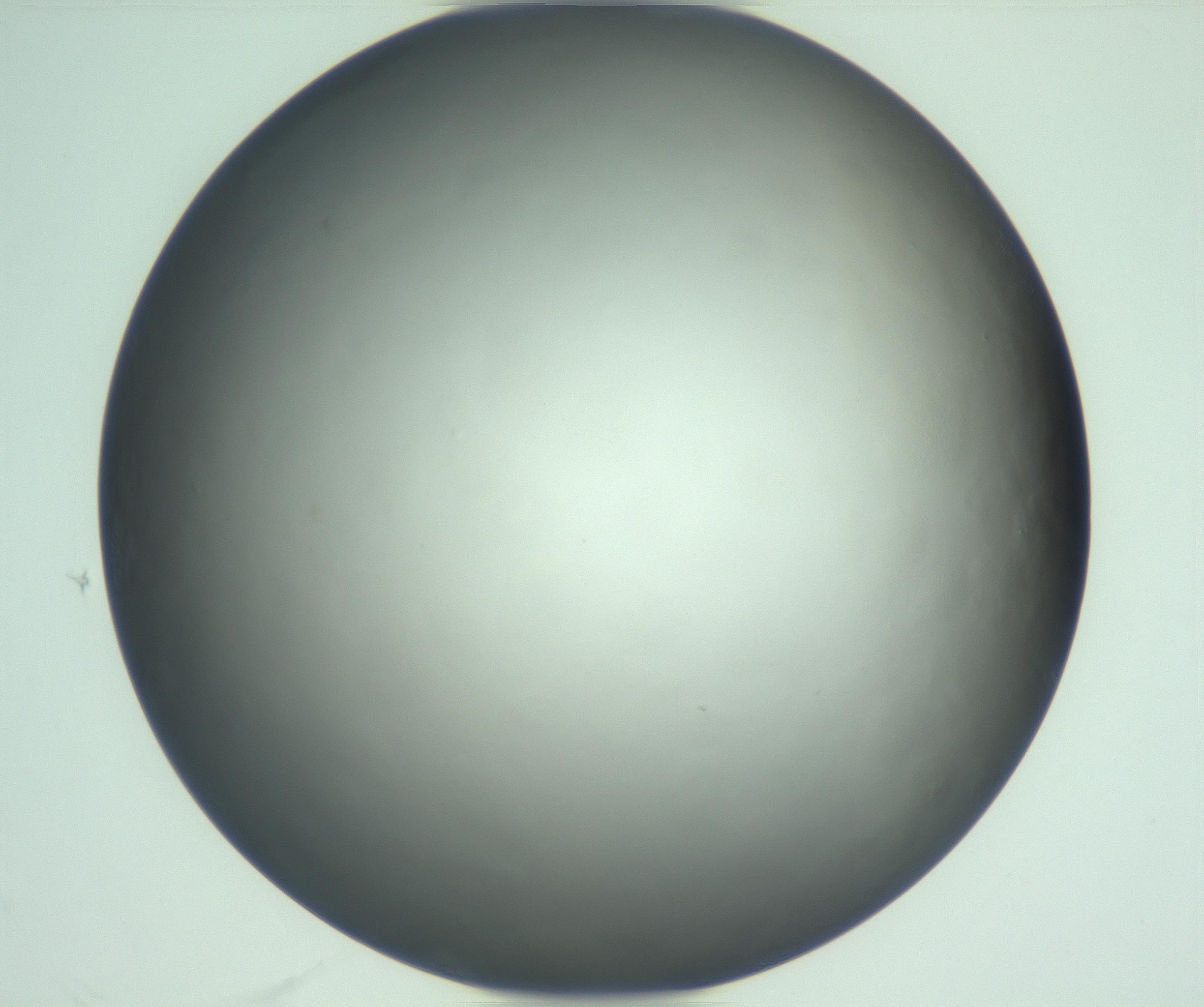 RI01_03_000_0212_Proj1_Clon1_MC_0000MC103123_005_161216_11_06_01_00_99_002_001_RAI.jpg