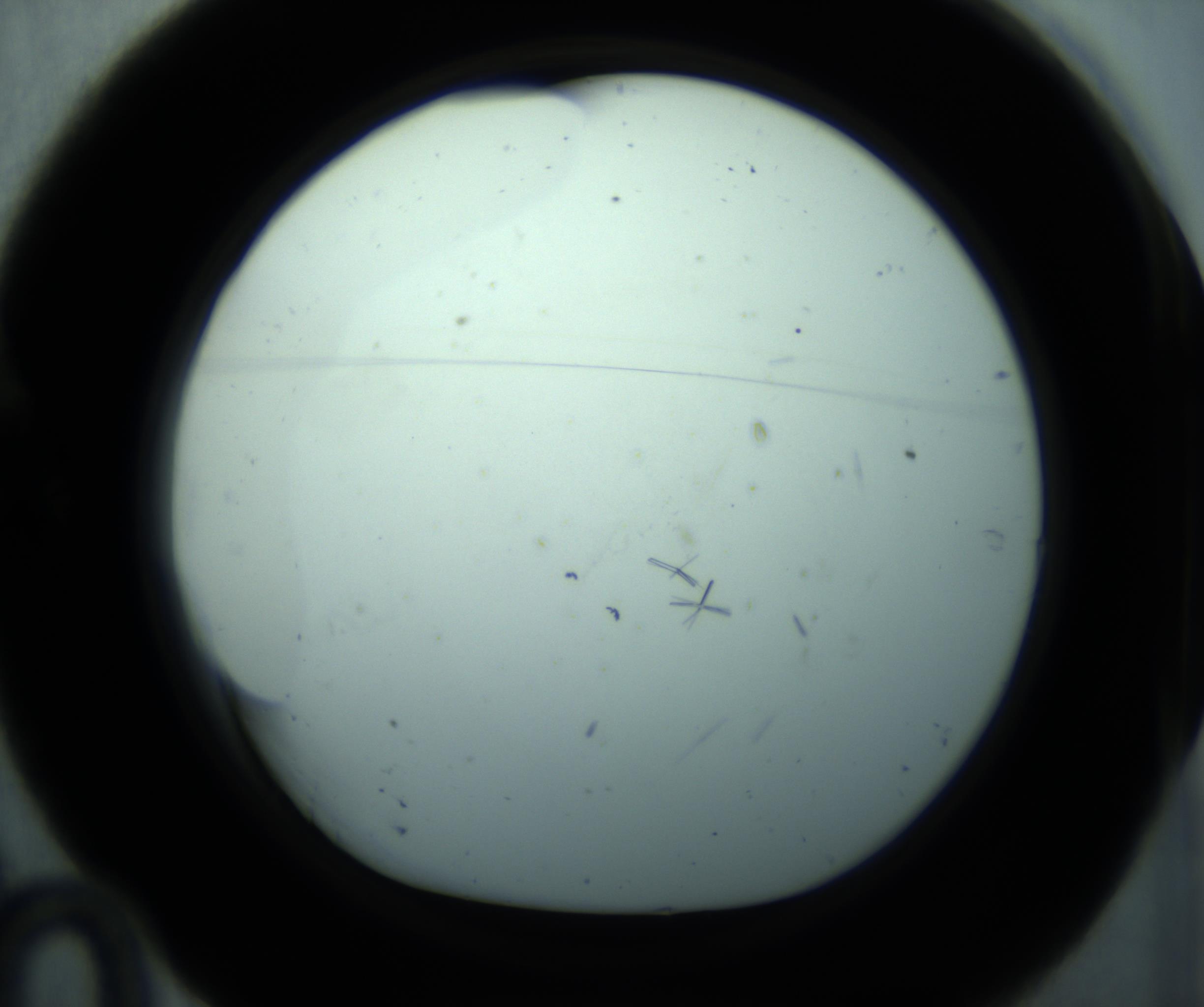 RI01_03_000_0212_Proj1_Clon1_MC_0000MC103126_005_161219_10_01_01_00_98_002_001_RAI.jpg