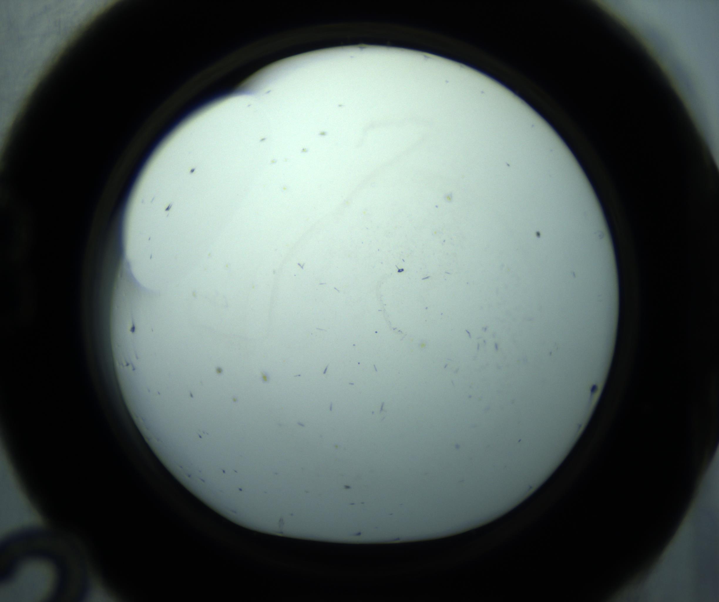 RI01_03_000_0212_Proj1_Clon1_MC_0000MC103126_005_161219_12_02_01_00_98_002_001_RAI.jpg