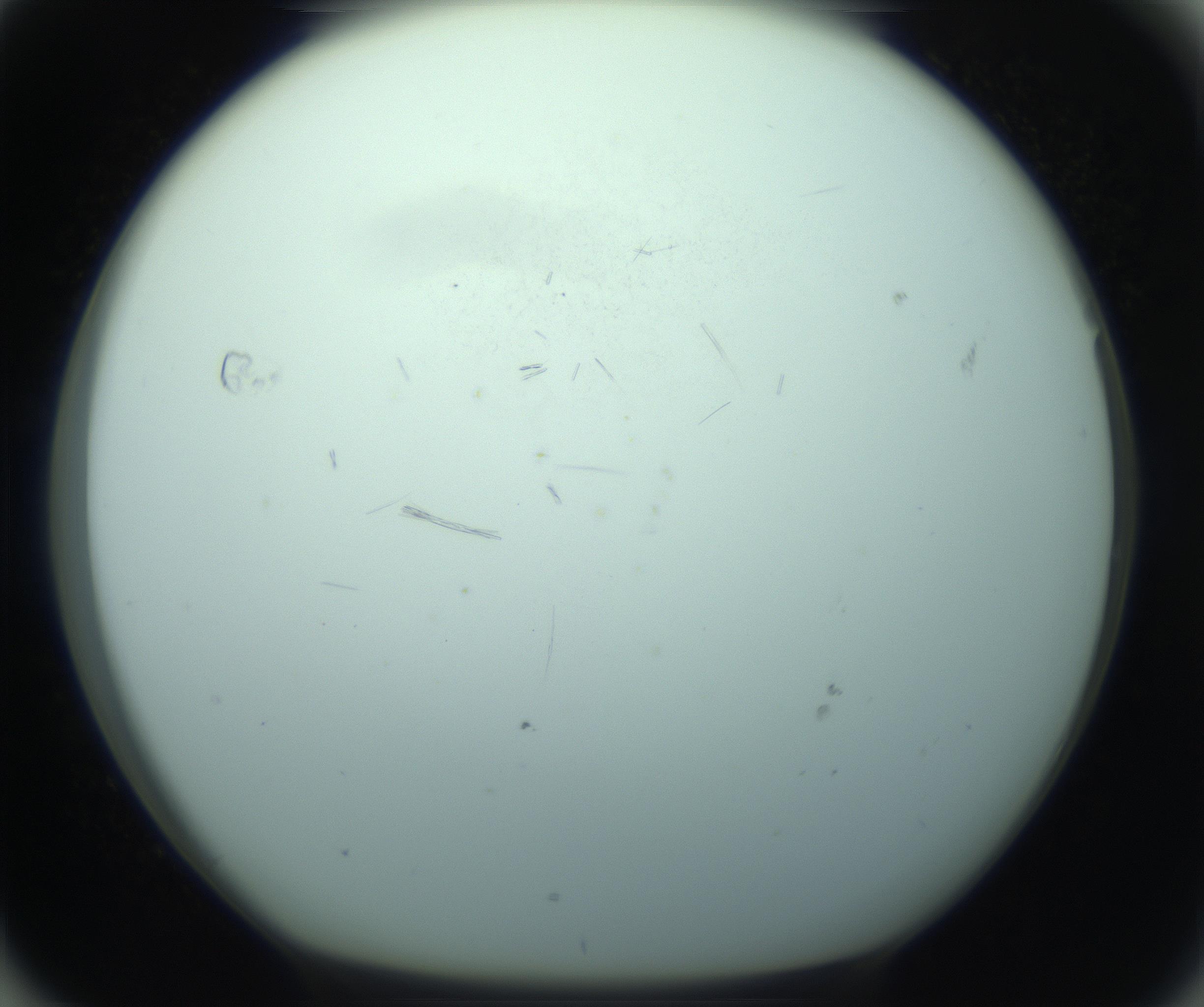 RI01_03_000_0212_Proj1_Clon1_MC_0000MC103126_014_170213_04_07_01_00_99_002_001_RAI.jpg