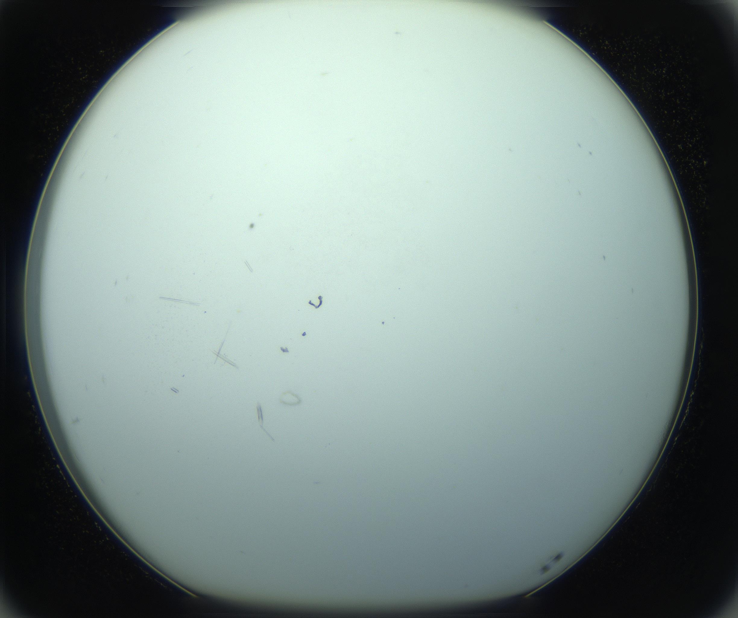 RI01_03_000_0212_Proj1_Clon1_MC_0000MC103126_014_170213_05_07_01_00_99_002_001_RAI.jpg
