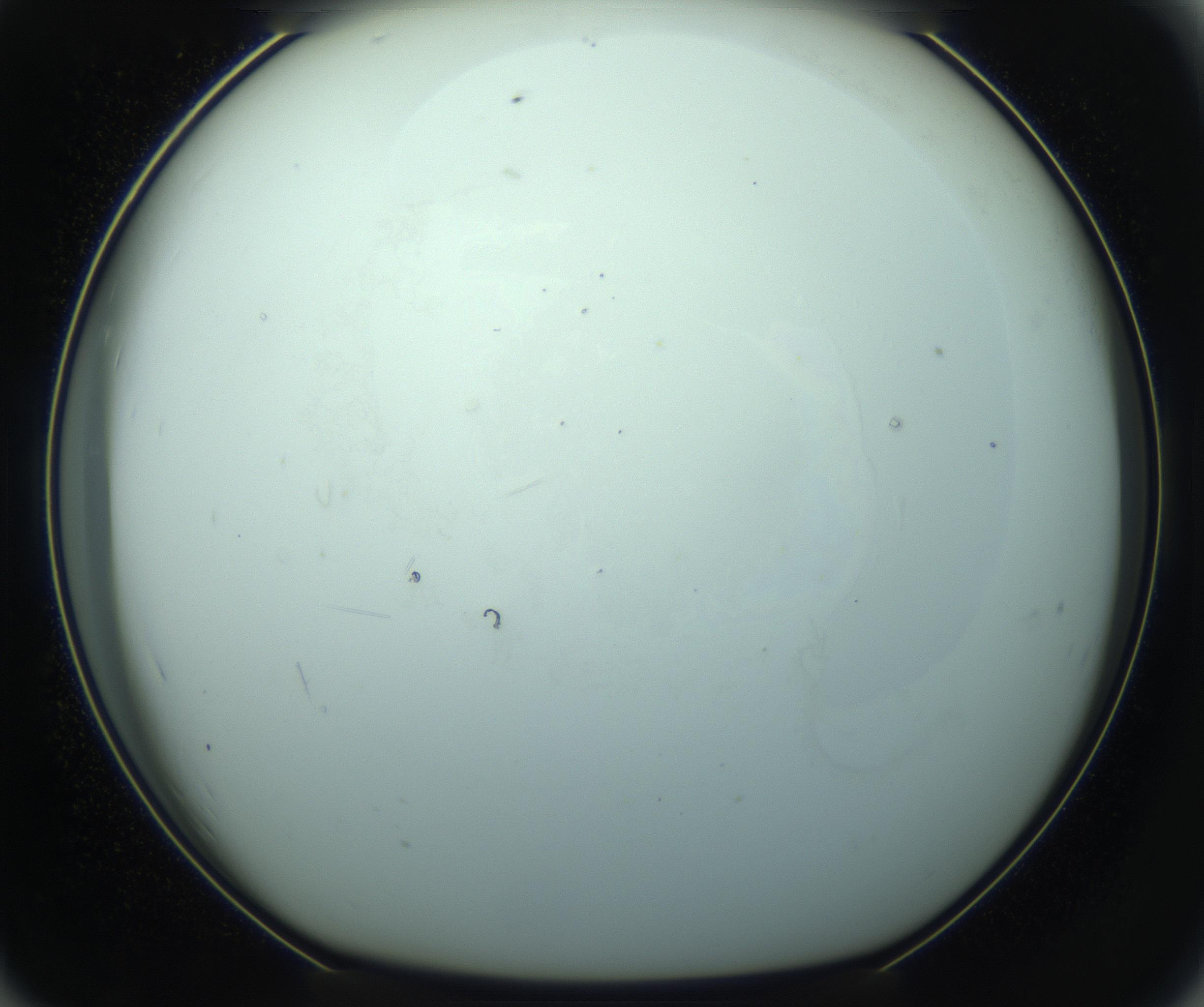 RI01_03_000_0212_Proj1_Clon1_MC_0000MC103126_014_170213_07_07_01_00_99_002_001_RAI.jpg