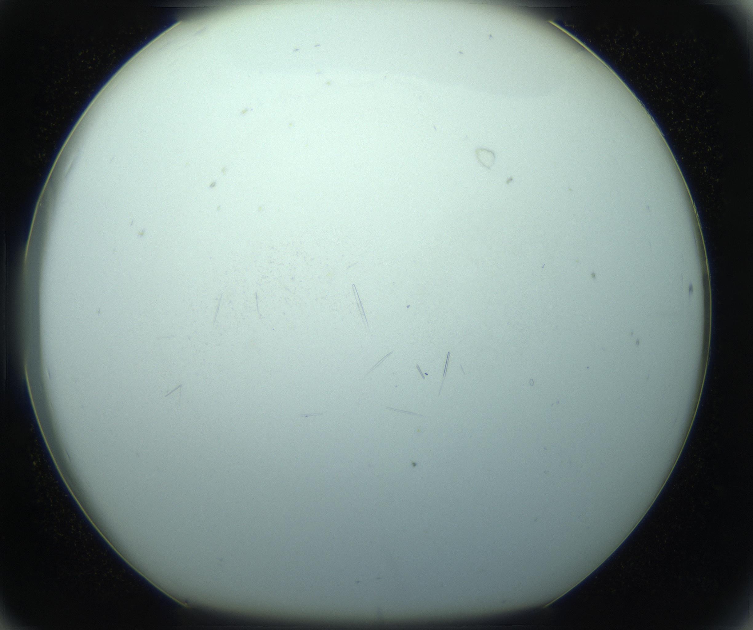 RI01_03_000_0212_Proj1_Clon1_MC_0000MC103126_014_170213_08_07_01_00_99_002_001_RAI.jpg