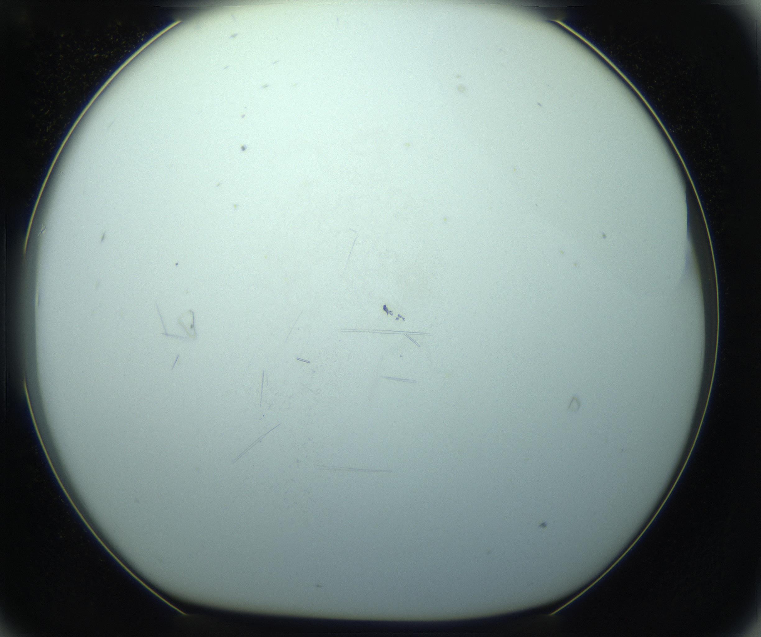 RI01_03_000_0212_Proj1_Clon1_MC_0000MC103126_014_170213_09_07_01_00_99_002_001_RAI.jpg
