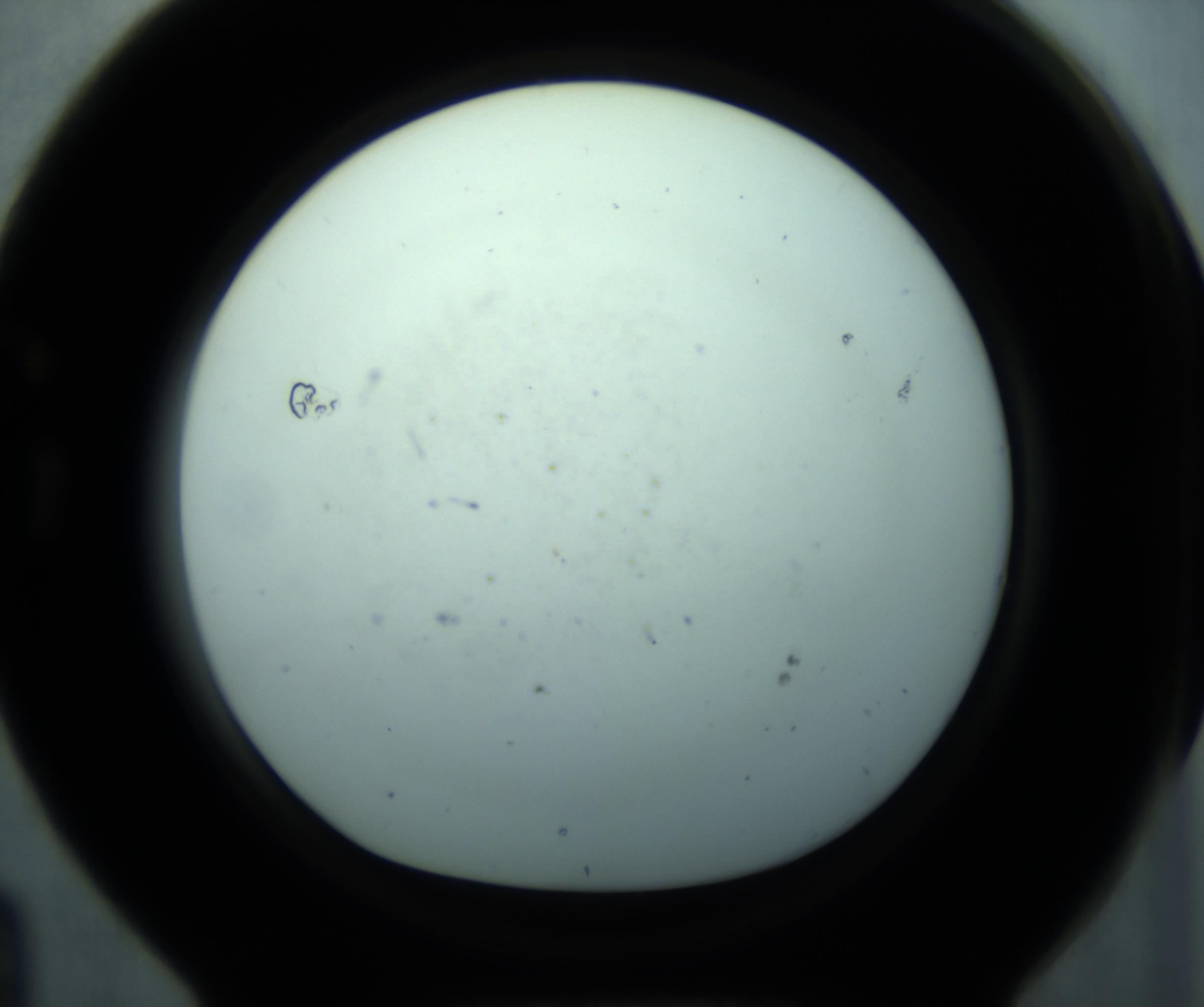 RI01_03_000_0212_Proj1_Clon1_MC_0000MC103127_005_161220_04_07_01_00_98_002_001_RAI.jpg