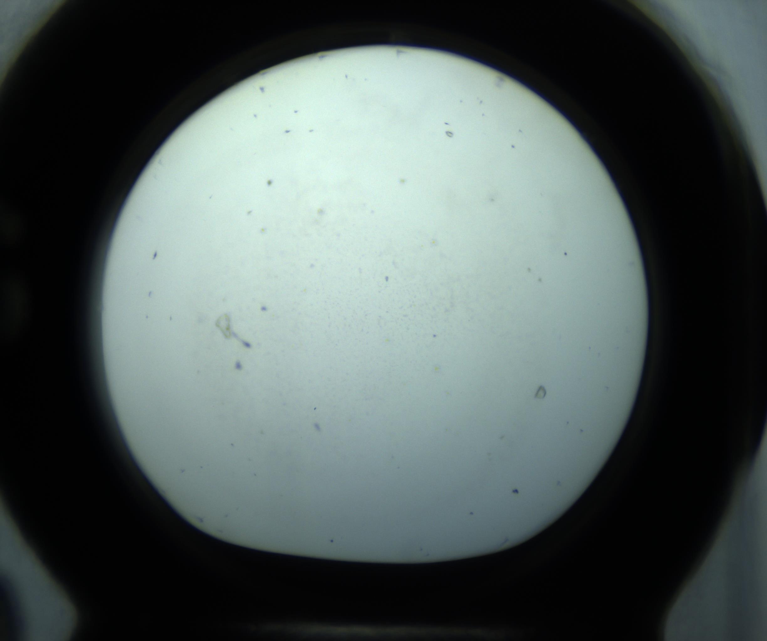 RI01_03_000_0212_Proj1_Clon1_MC_0000MC103127_005_161220_09_07_01_00_98_002_001_RAI.jpg