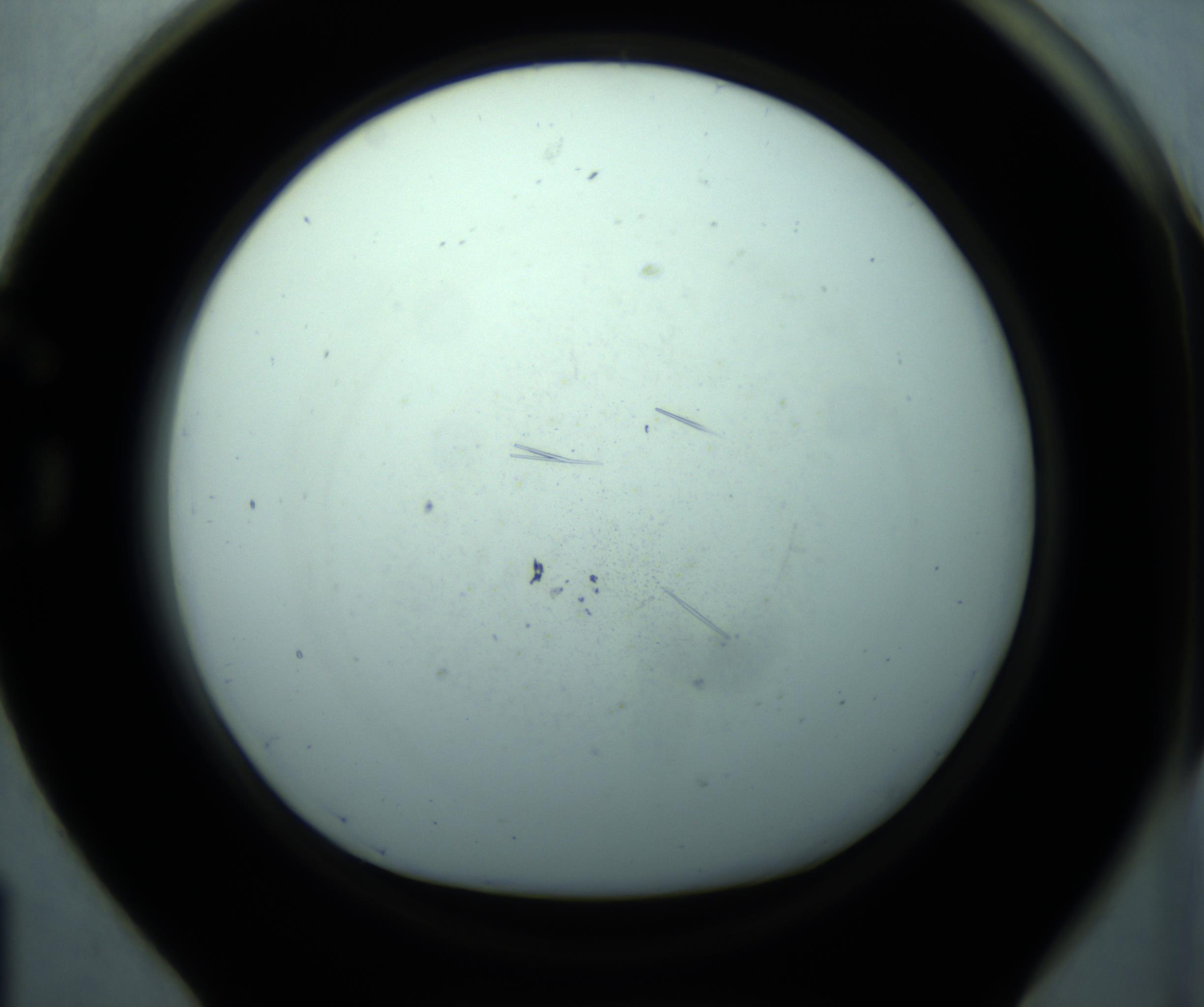 RI01_03_000_0212_Proj1_Clon1_MC_0000MC103127_008_170103_01_07_01_00_98_002_001_RAI.jpg