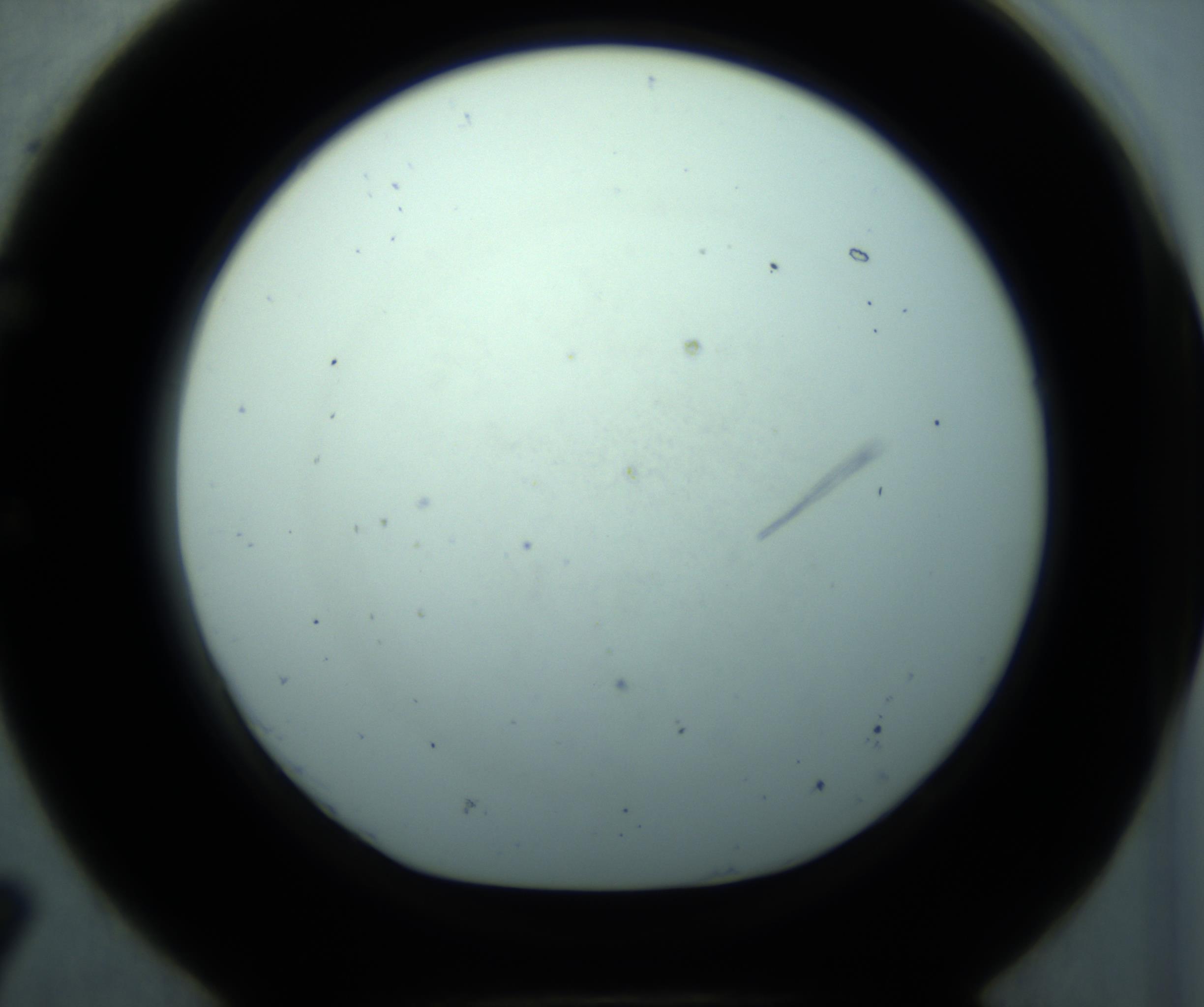 RI01_03_000_0212_Proj1_Clon1_MC_0000MC103127_009_170110_07_05_01_00_98_002_001_RAI.jpg