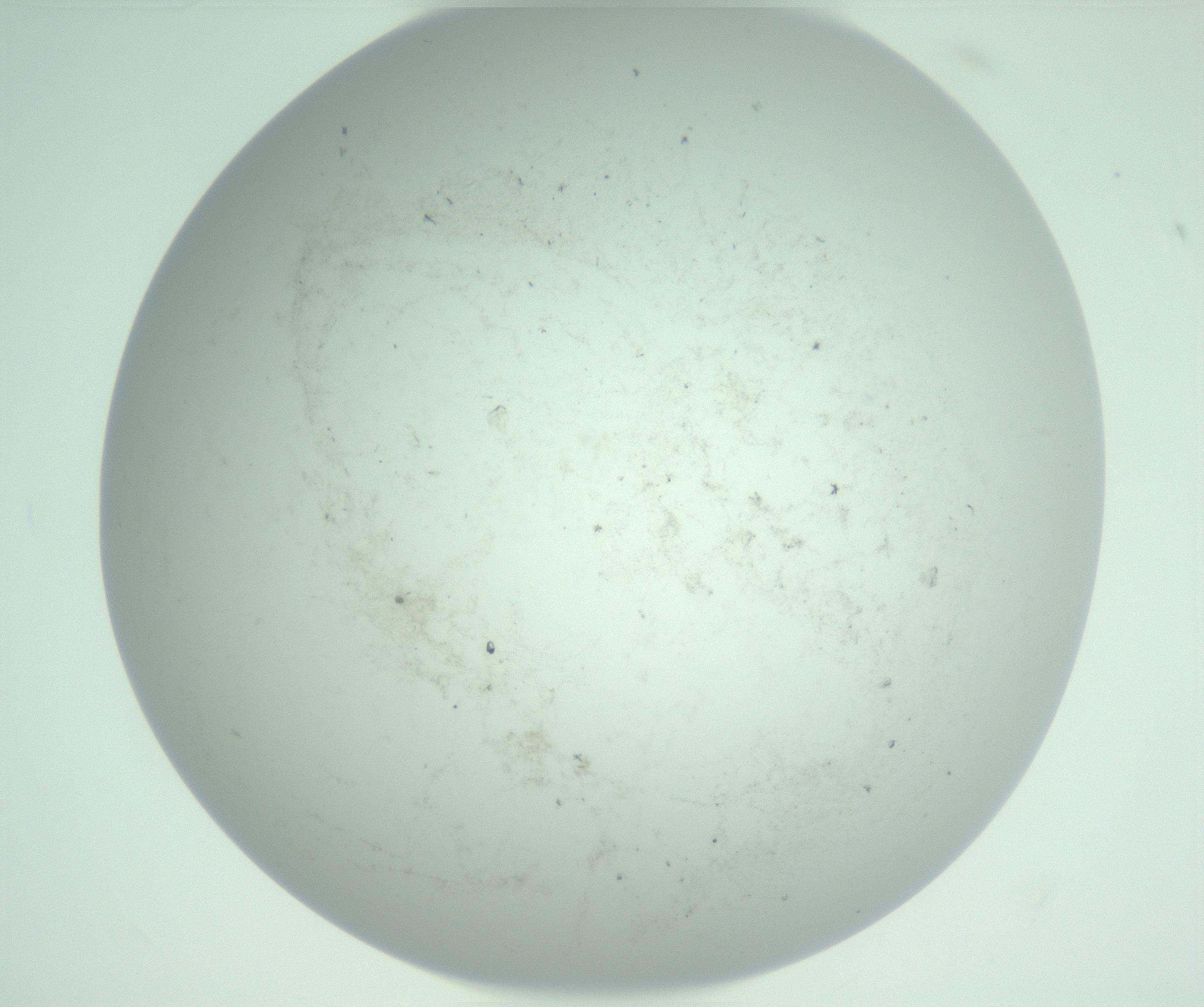 RI01_03_000_0212_Proj1_Clon1_MC_0000MC103129_004_161218_03_05_01_00_99_002_001_RAI.jpg