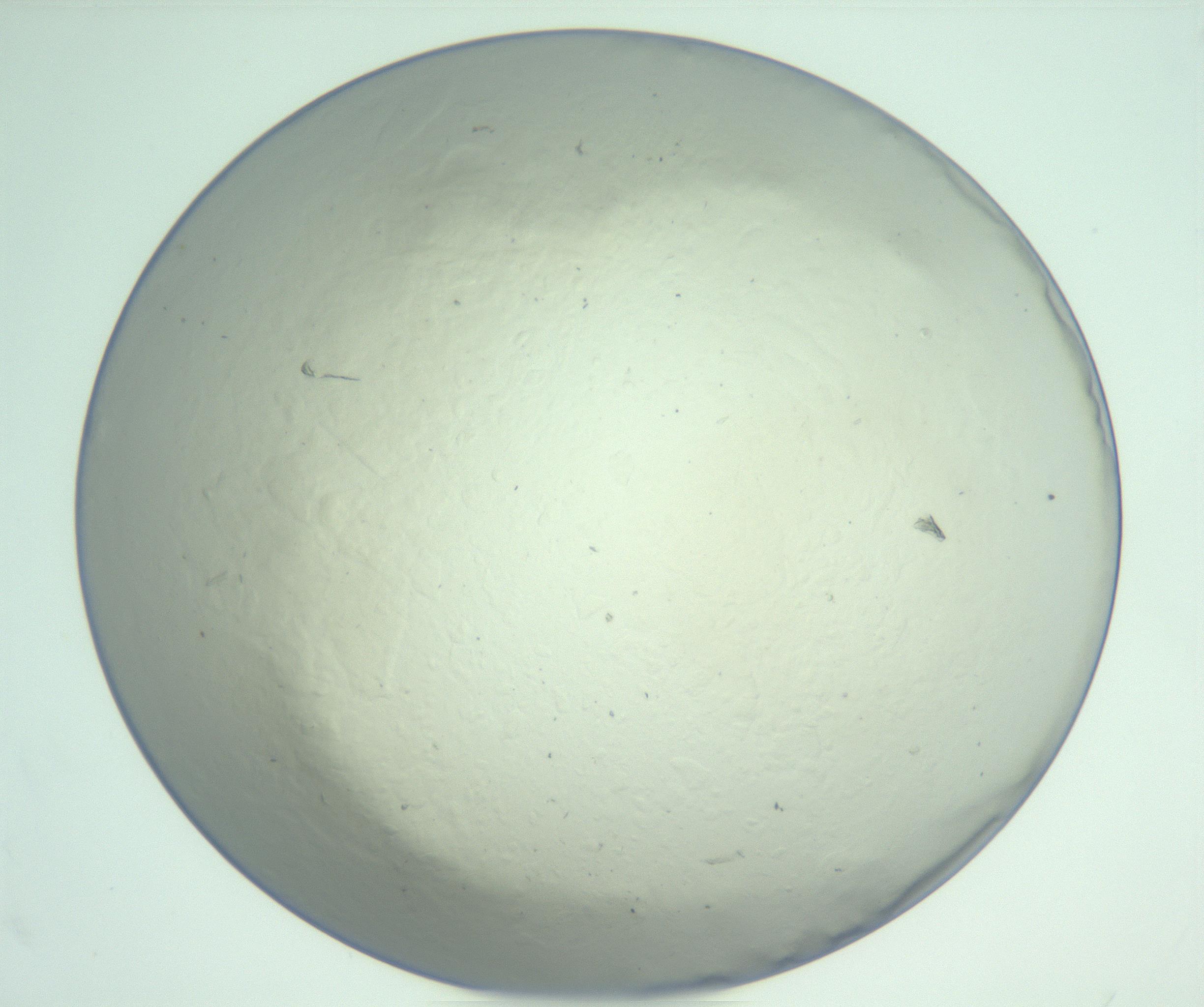 RI01_03_000_0212_Proj1_Clon1_MC_0000MC103129_007_161227_02_07_01_00_99_002_001_RAI.jpg
