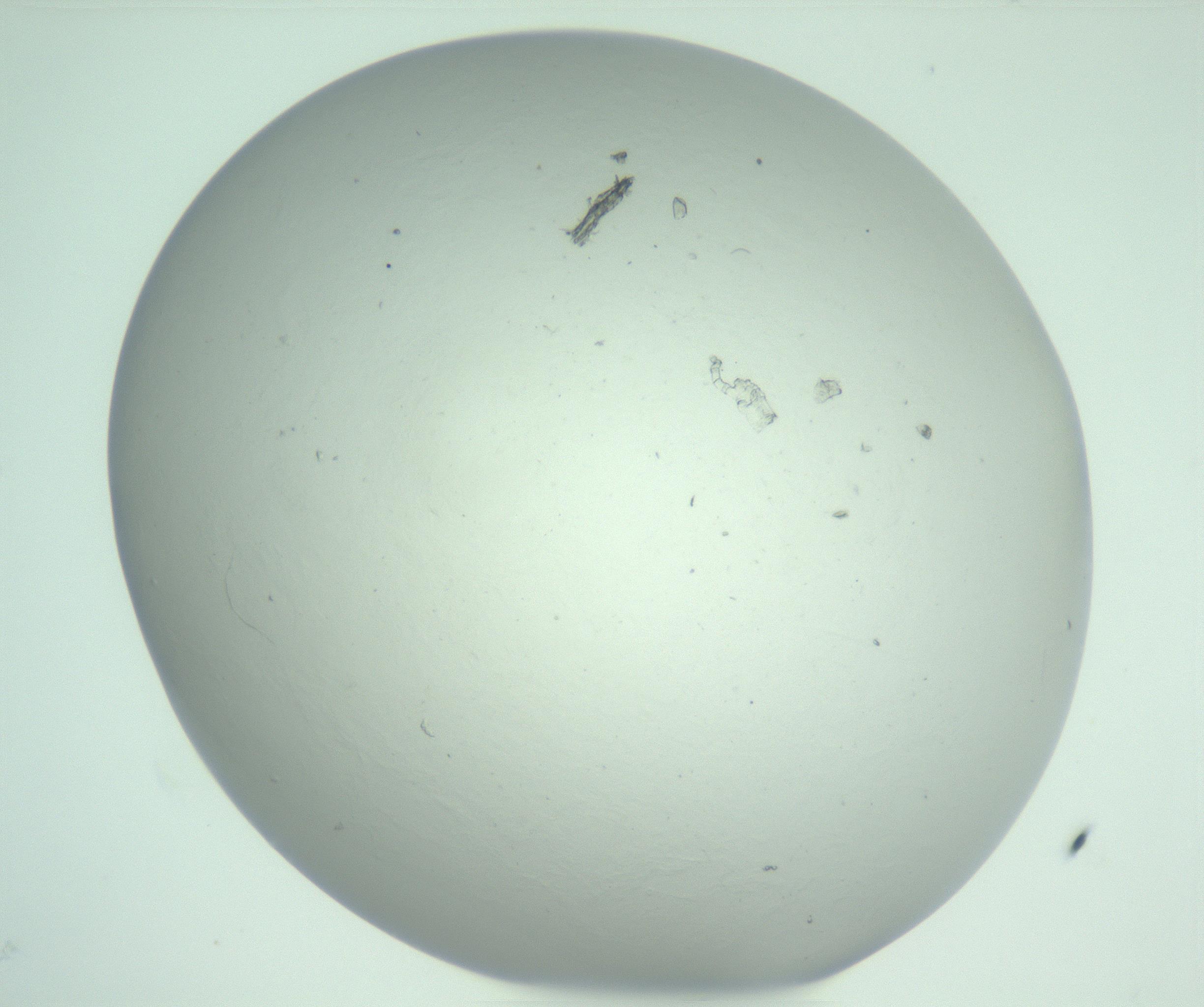 RI01_03_000_0212_Proj1_Clon1_MC_0000MC103129_007_161227_03_02_01_00_99_002_001_RAI.jpg