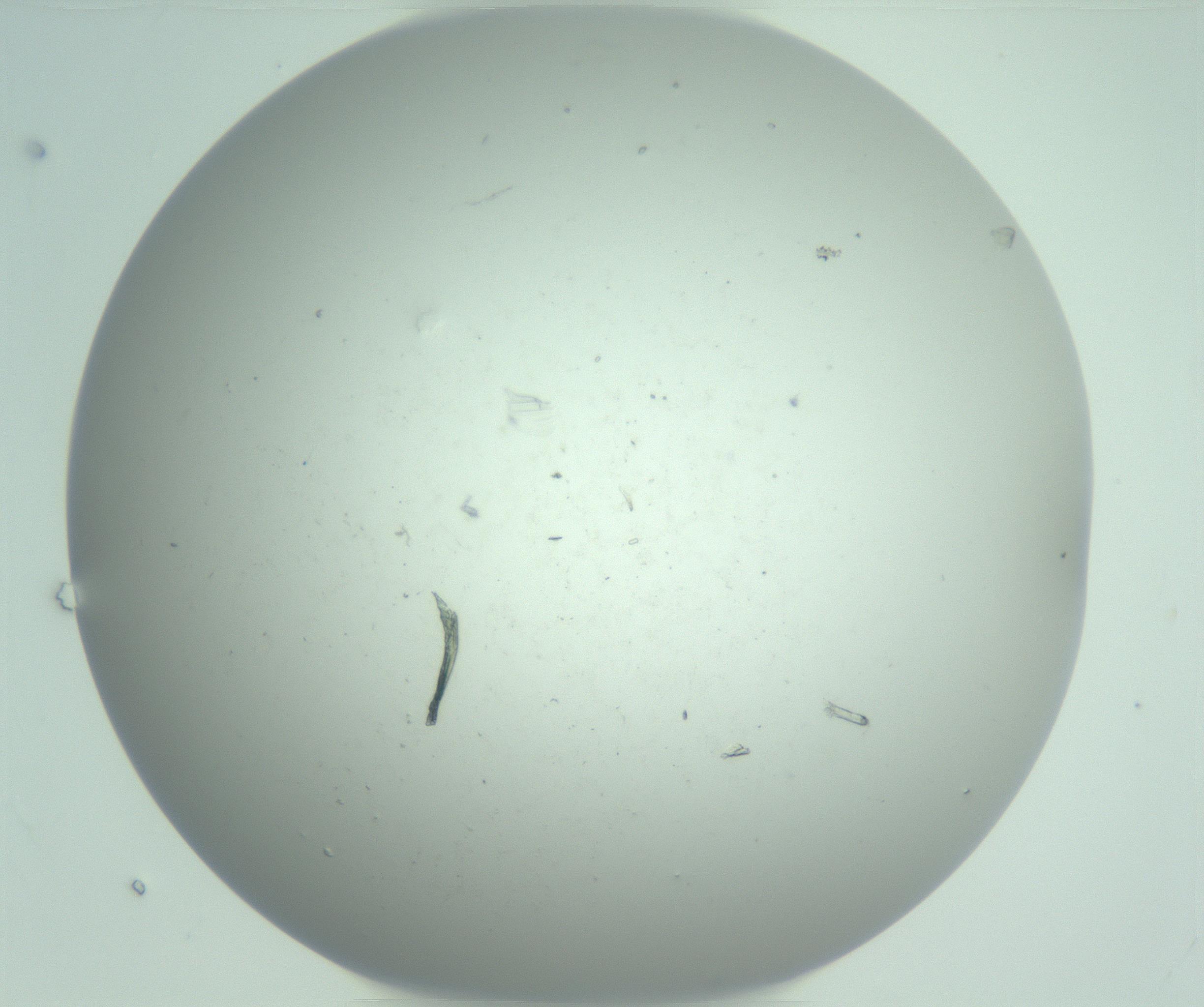 RI01_03_000_0212_Proj1_Clon1_MC_0000MC103129_007_161227_07_07_01_00_99_002_001_RAI.jpg
