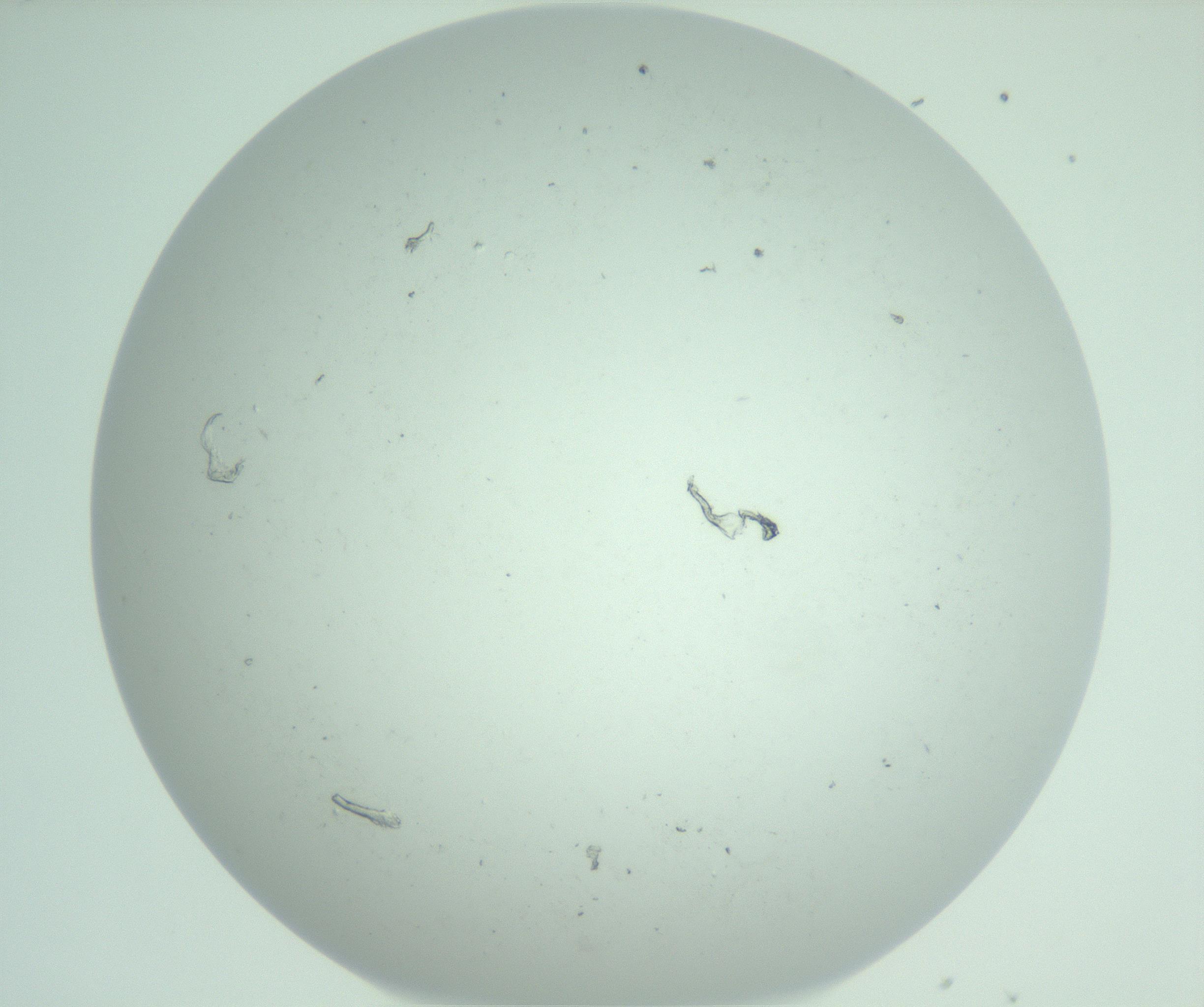 RI01_03_000_0212_Proj1_Clon1_MC_0000MC103129_007_161227_08_04_01_00_99_002_001_RAI.jpg