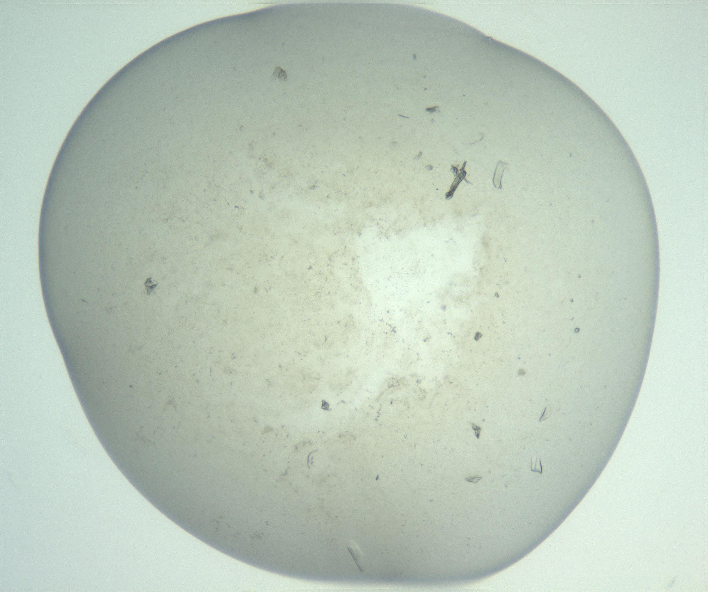 RI01_03_000_0212_Proj1_Clon1_MC_0000MC103129_007_161227_12_02_01_00_99_002_001_RAI.jpg
