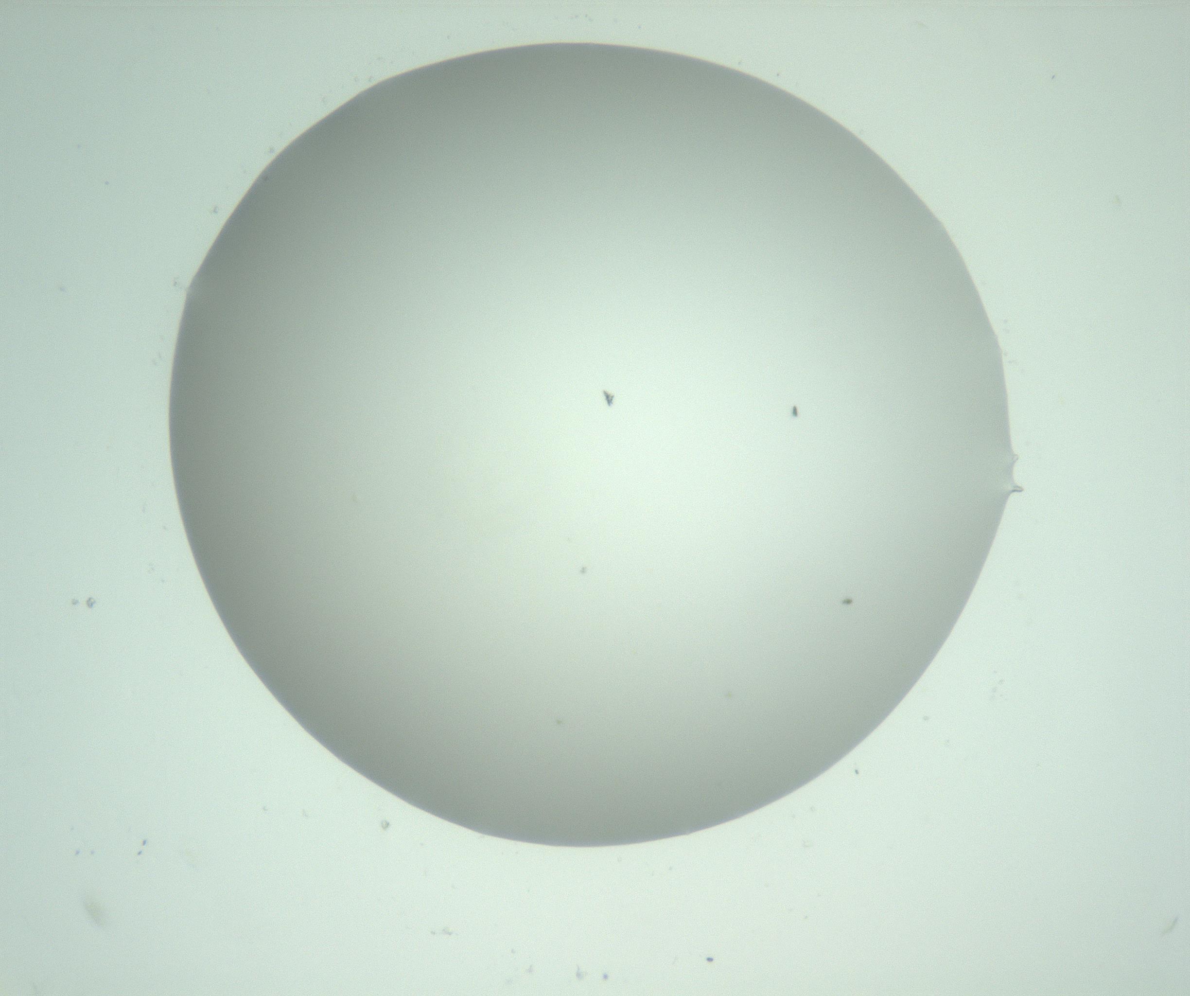 RI01_03_000_0212_Proj1_Clon1_MC_0000MC103129_009_170110_12_06_02_00_99_002_001_RAI.jpg