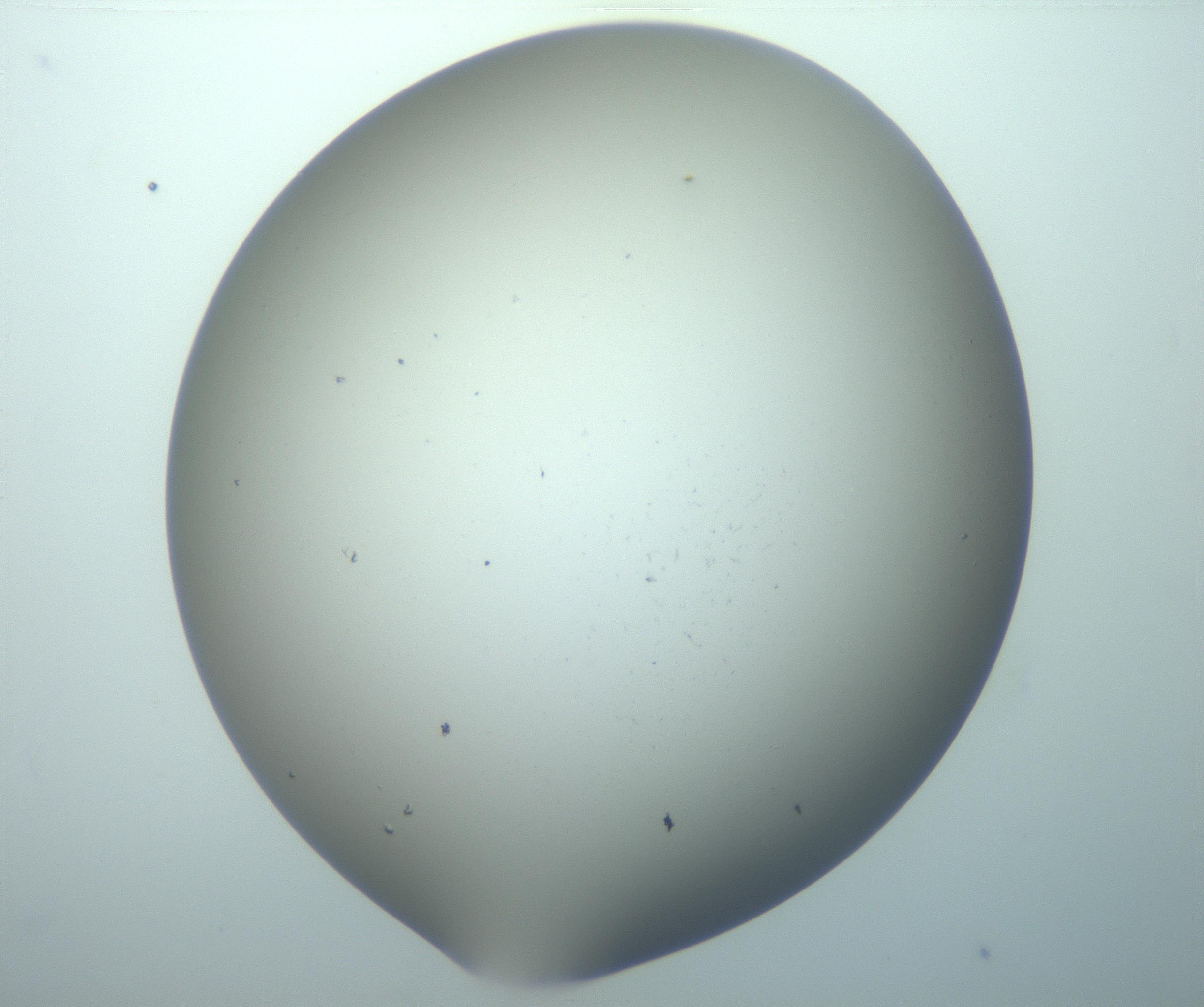 RI01_03_000_0212_Proj1_Clon1_MC_0000MC103140_004_161219_06_07_02_00_99_002_001_RAI.jpg
