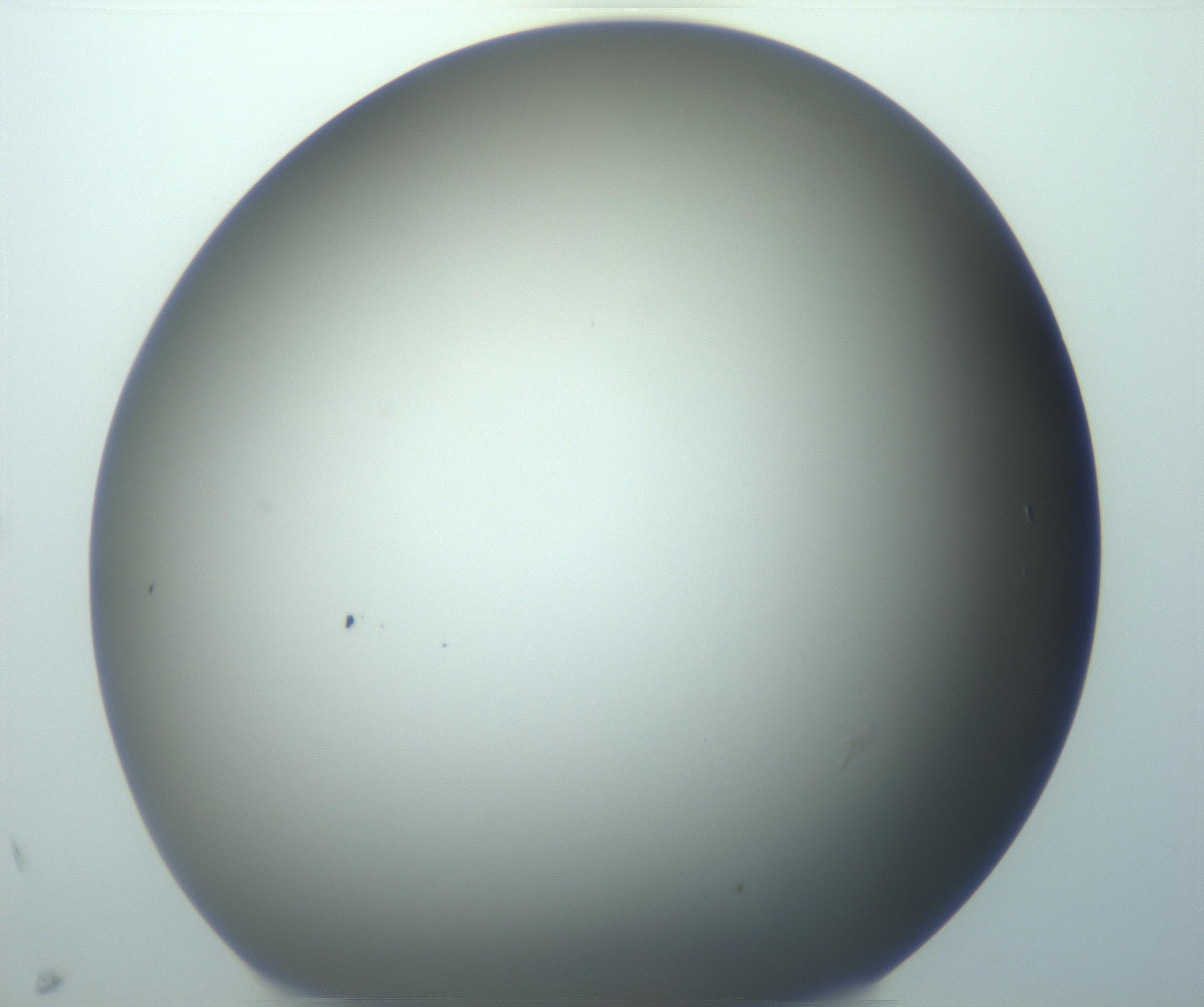 RI01_03_000_0212_Proj1_Clon1_MC_0000MC103152_002_161215_10_08_01_00_99_002_001_RAI.jpg