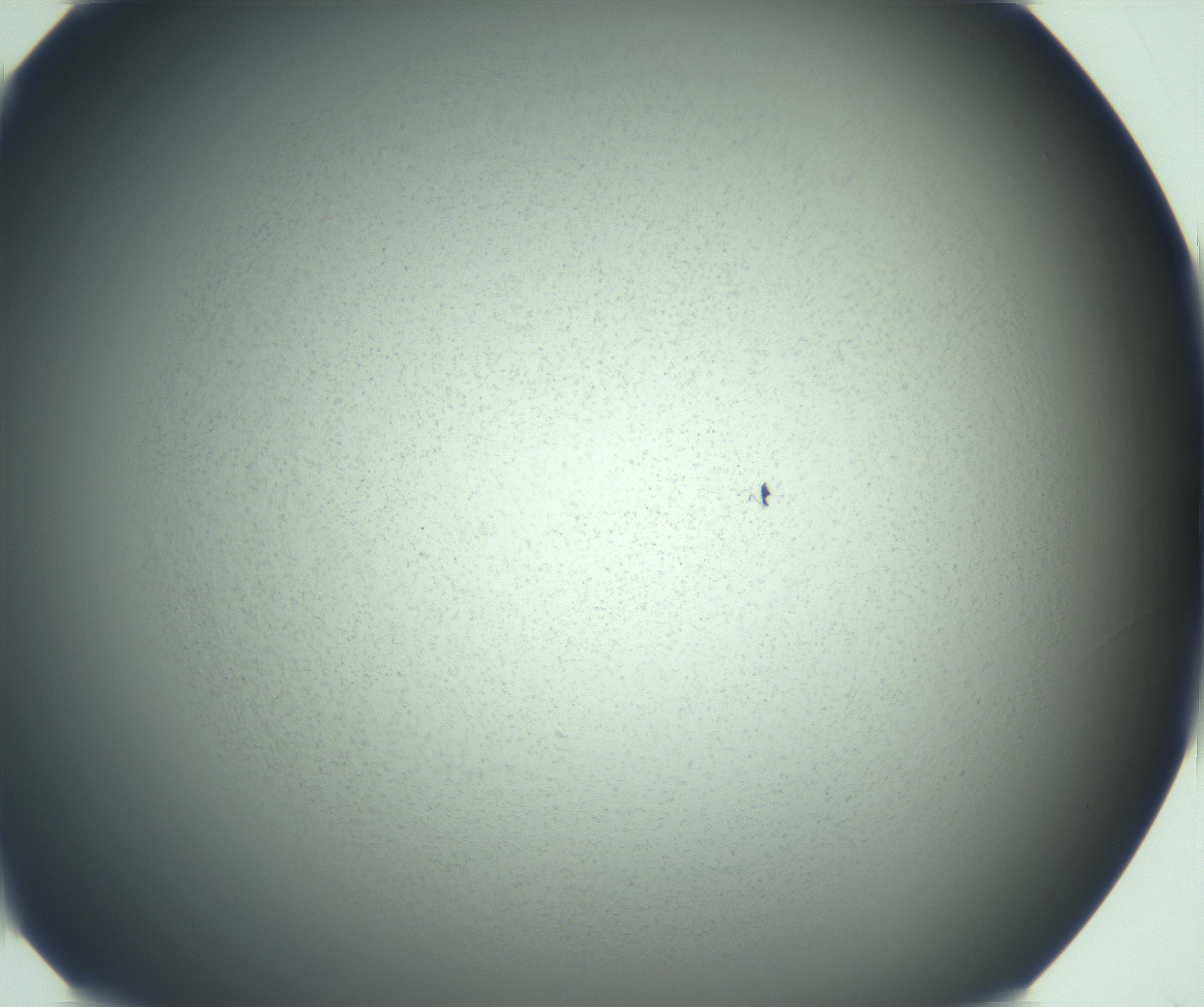 RI01_03_000_0212_Proj1_Clon1_MC_0000MC103167_005_161228_06_01_01_00_99_002_001_RAI.jpg