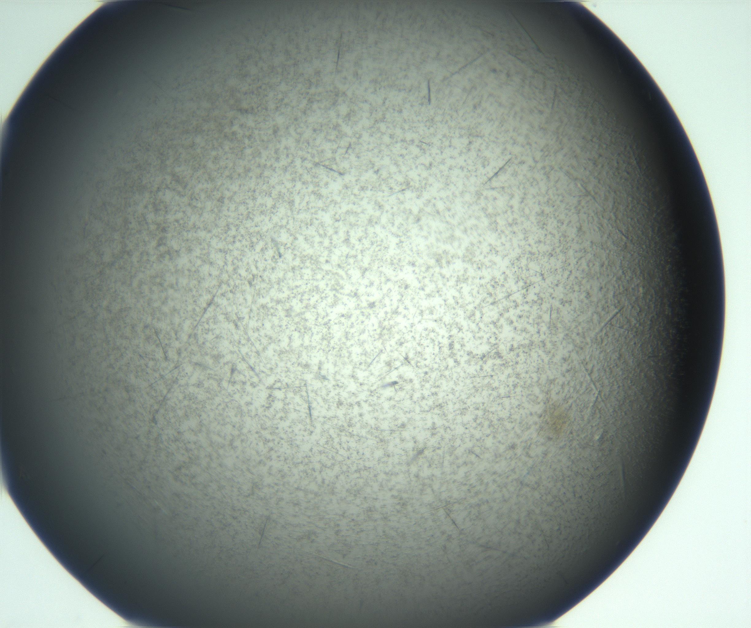RI01_03_000_0212_Proj1_Clon1_MC_0000MC103167_005_161228_07_05_01_00_99_002_001_RAI.jpg