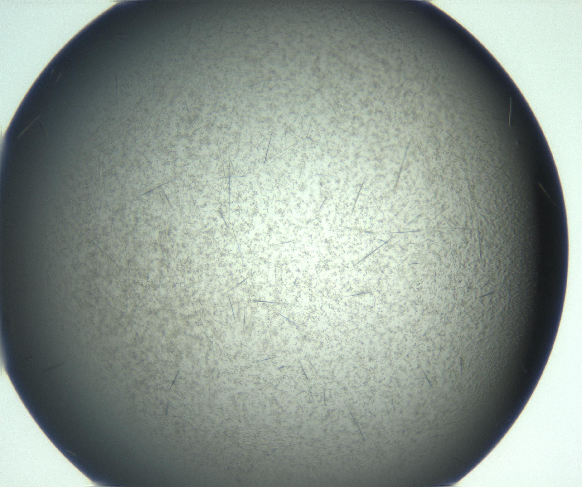 RI01_03_000_0212_Proj1_Clon1_MC_0000MC103167_005_161228_07_05_02_00_99_002_001_RAI.jpg