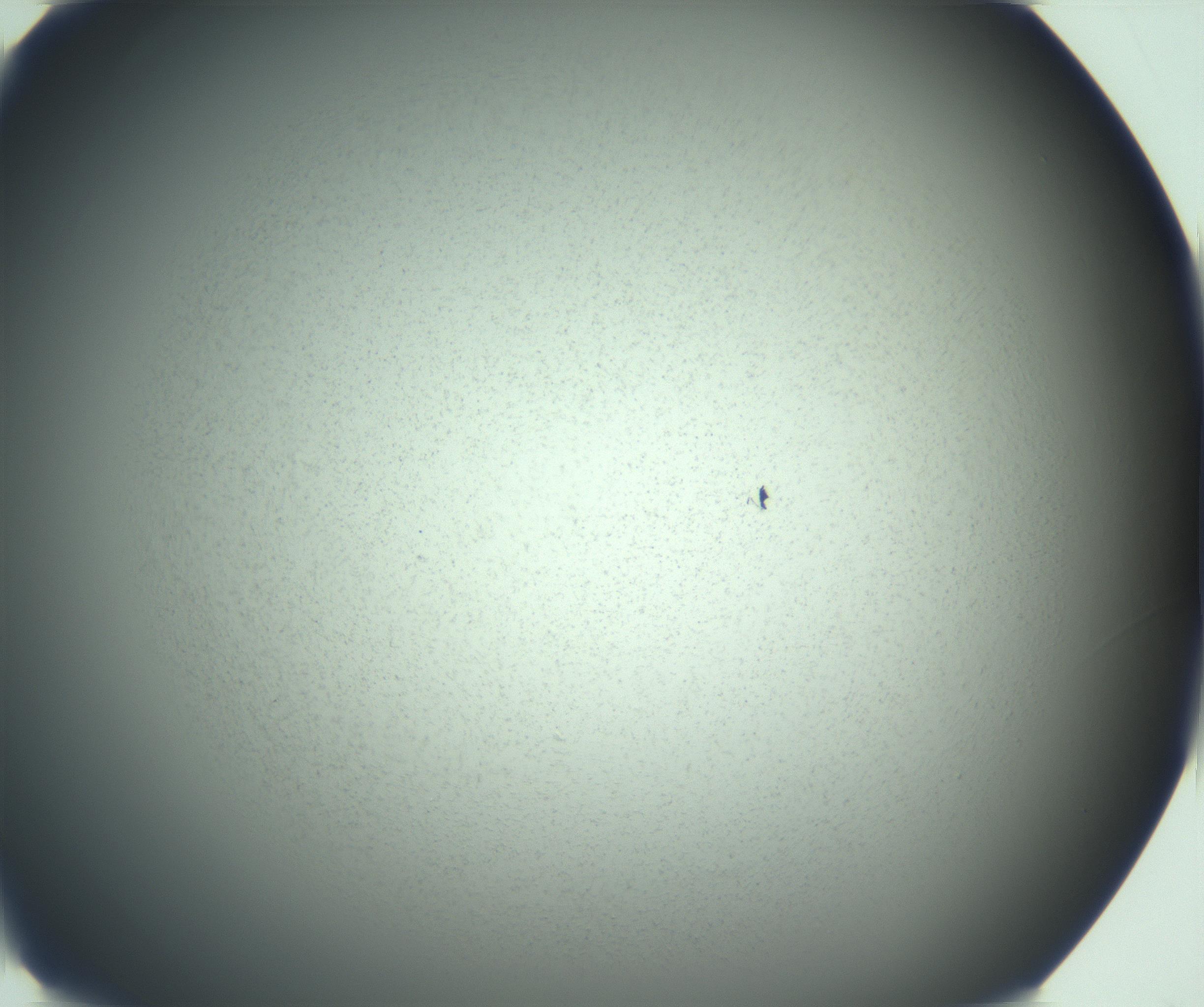 RI01_03_000_0212_Proj1_Clon1_MC_0000MC103167_006_161231_06_01_01_00_99_002_001_RAI.jpg