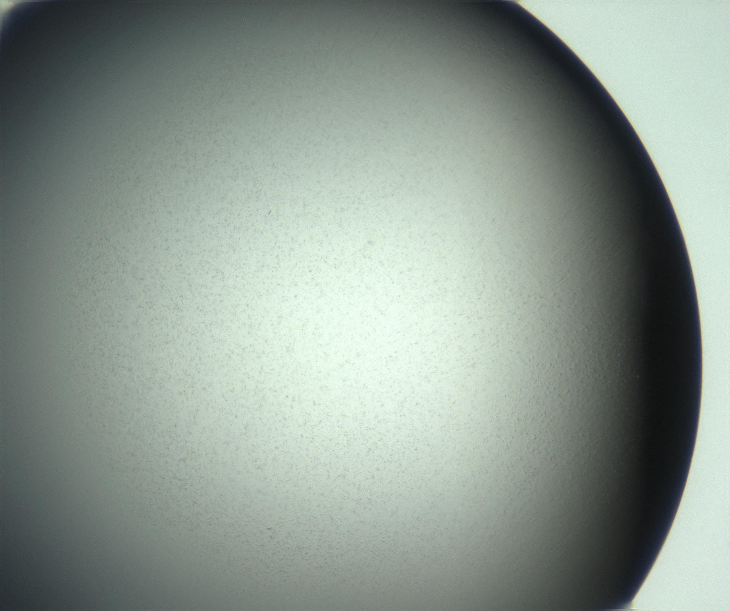 RI01_03_000_0212_Proj1_Clon1_MC_0000MC103167_006_161231_06_01_02_00_99_002_001_RAI.jpg