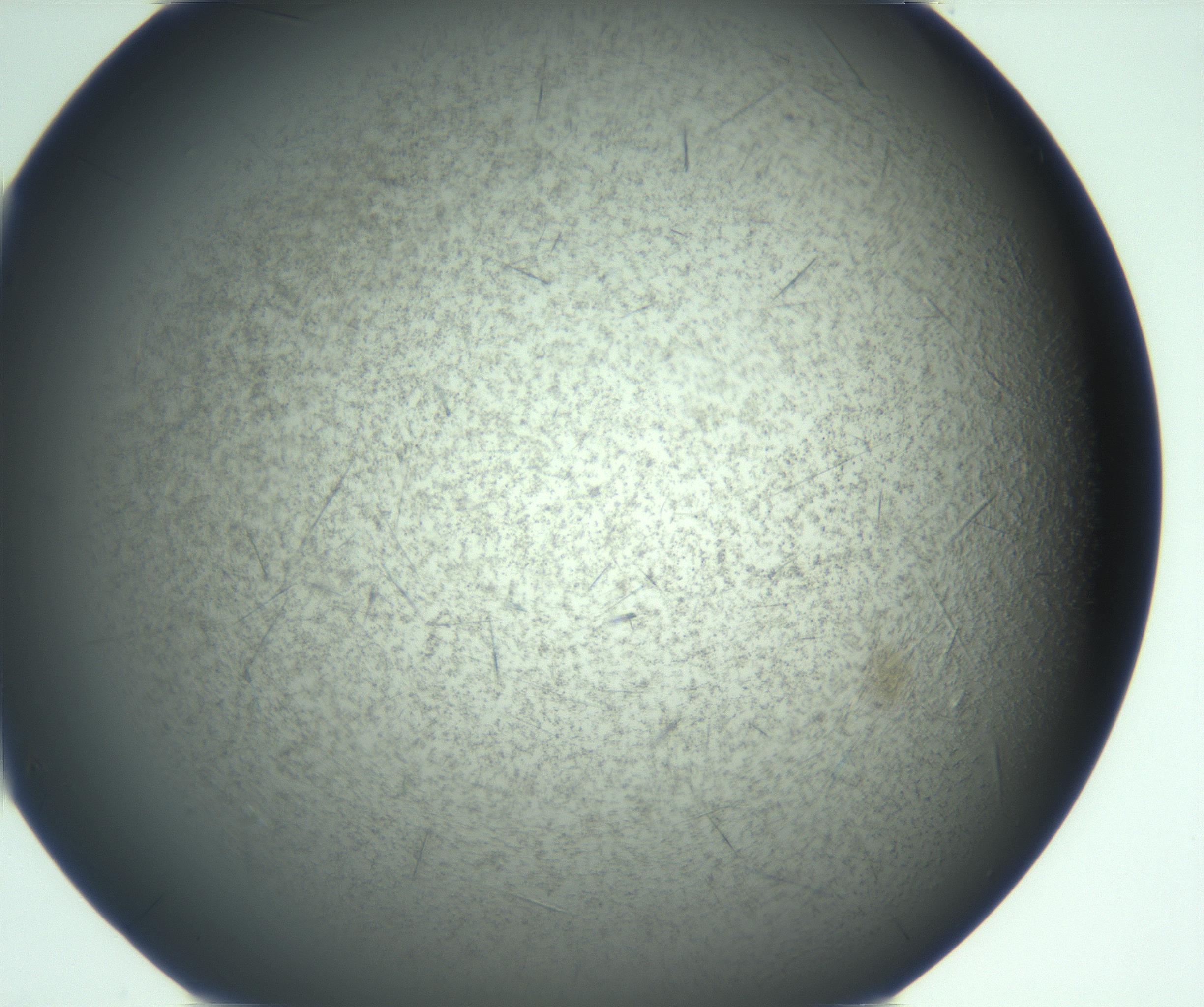 RI01_03_000_0212_Proj1_Clon1_MC_0000MC103167_006_161231_07_05_01_00_99_002_001_RAI.jpg