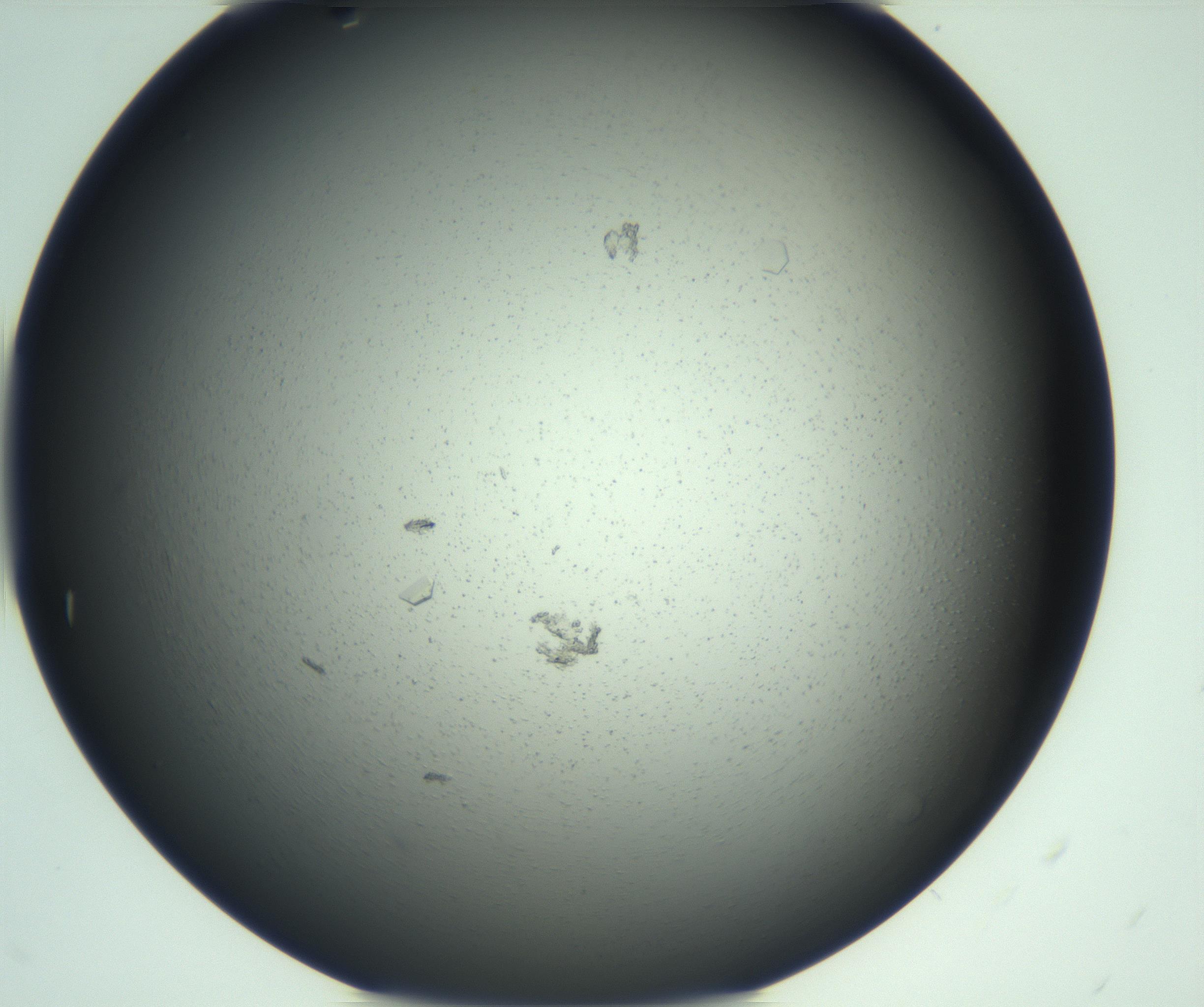 RI01_03_000_0212_Proj1_Clon1_MC_0000MC103167_006_161231_11_03_02_00_99_002_001_RAI.jpg