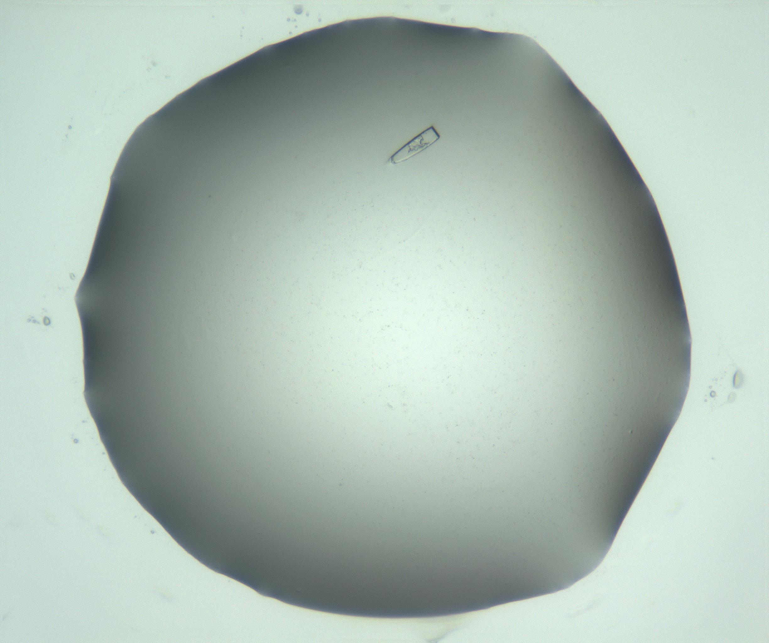 RI01_03_000_0212_Proj1_Clon1_MC_0000MC103169_010_170125_06_01_01_00_99_002_001_RAI.jpg