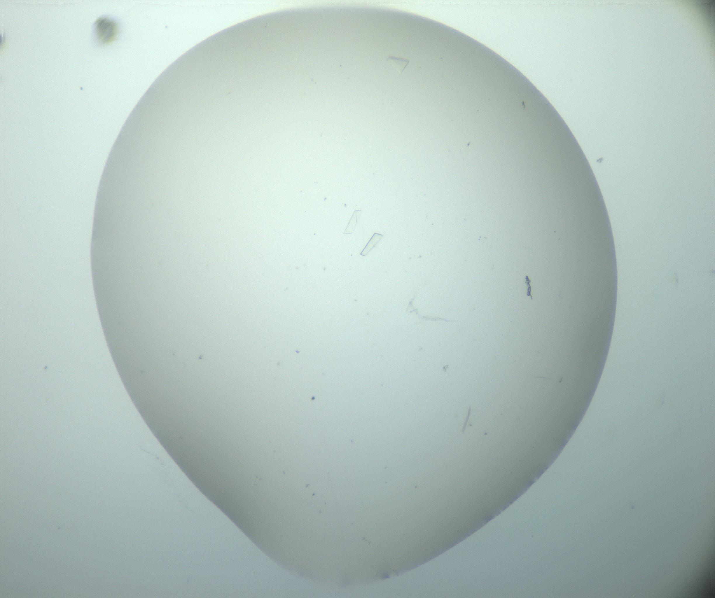 RI01_03_000_0212_Proj1_Clon1_MC_0000MC103180_003_161225_10_05_02_00_99_002_001_RAI.jpg