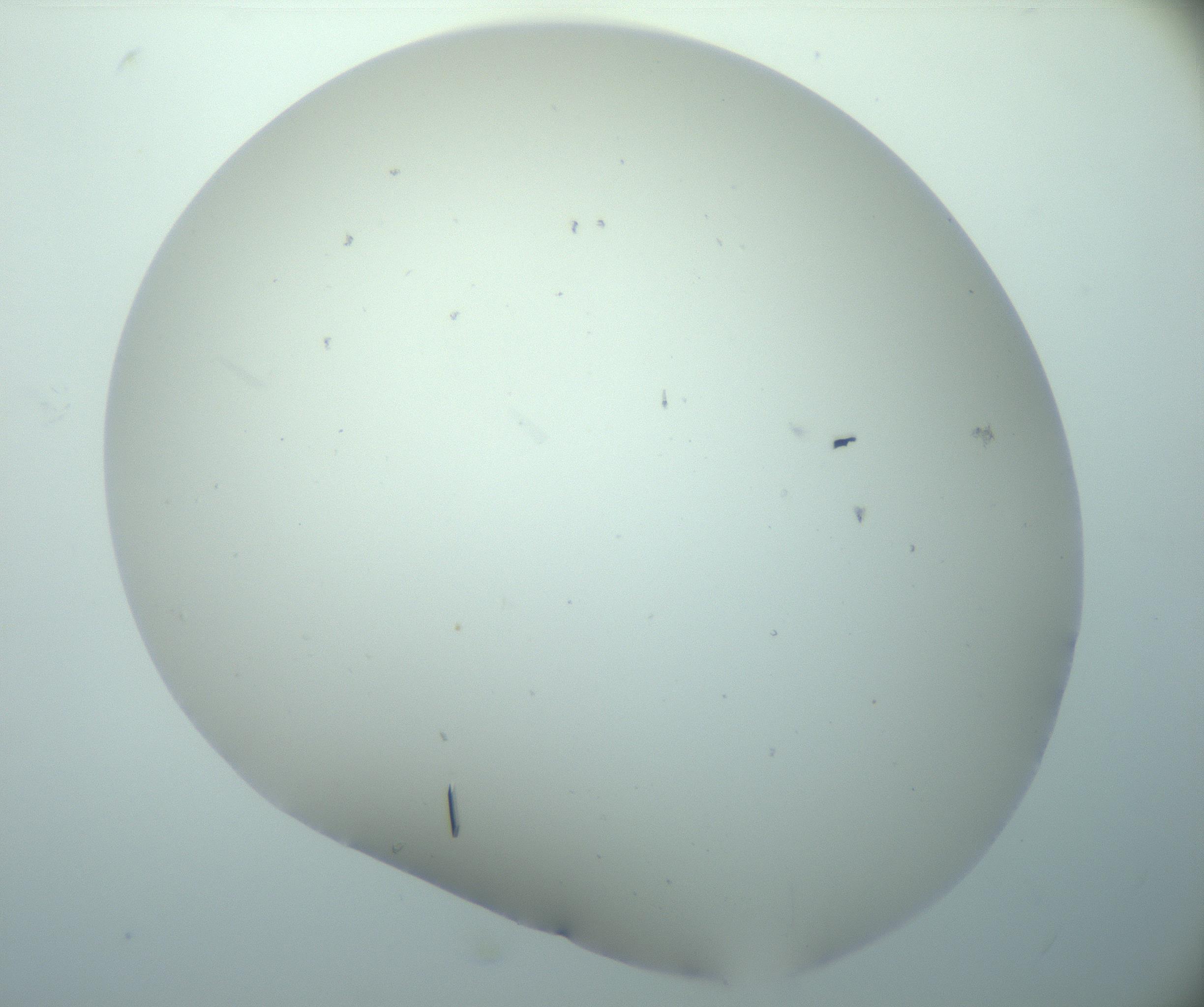 RI01_03_000_0212_Proj1_Clon1_MC_0000MC103180_004_161227_04_04_02_00_99_002_001_RAI.jpg