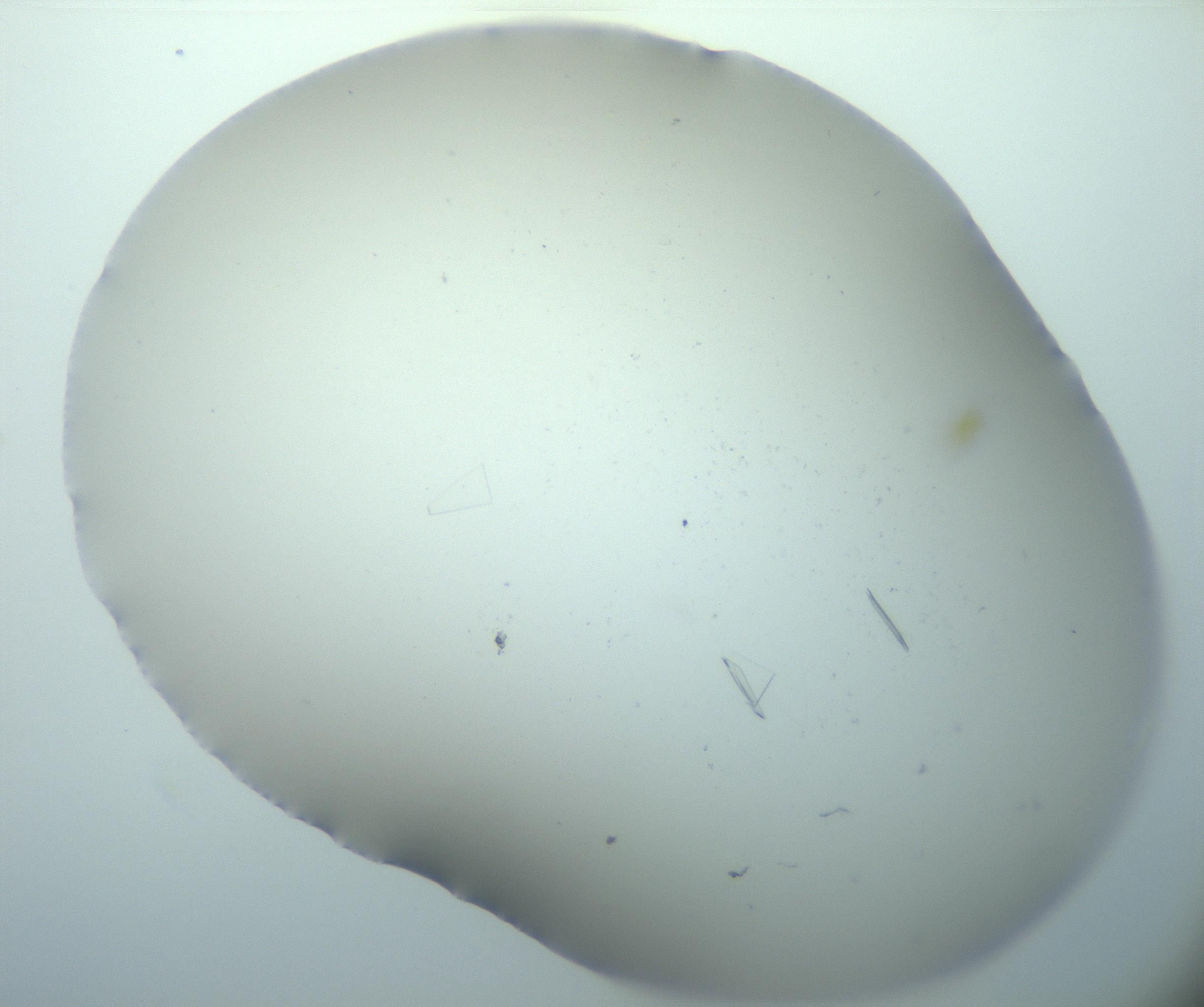 RI01_03_000_0212_Proj1_Clon1_MC_0000MC103180_004_161227_05_03_02_00_99_002_001_RAI.jpg