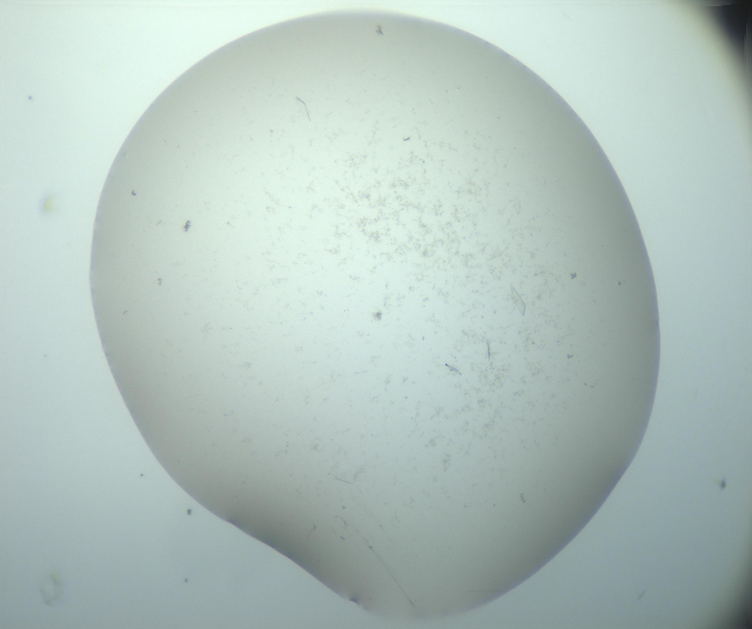 RI01_03_000_0212_Proj1_Clon1_MC_0000MC103180_004_161227_05_05_02_00_99_002_001_RAI.jpg