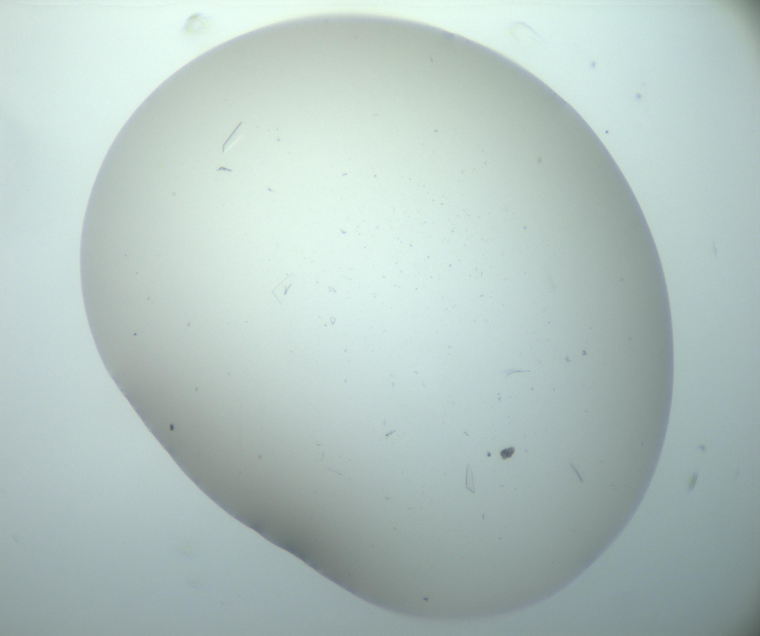 RI01_03_000_0212_Proj1_Clon1_MC_0000MC103180_004_161227_05_06_02_00_99_002_001_RAI.jpg