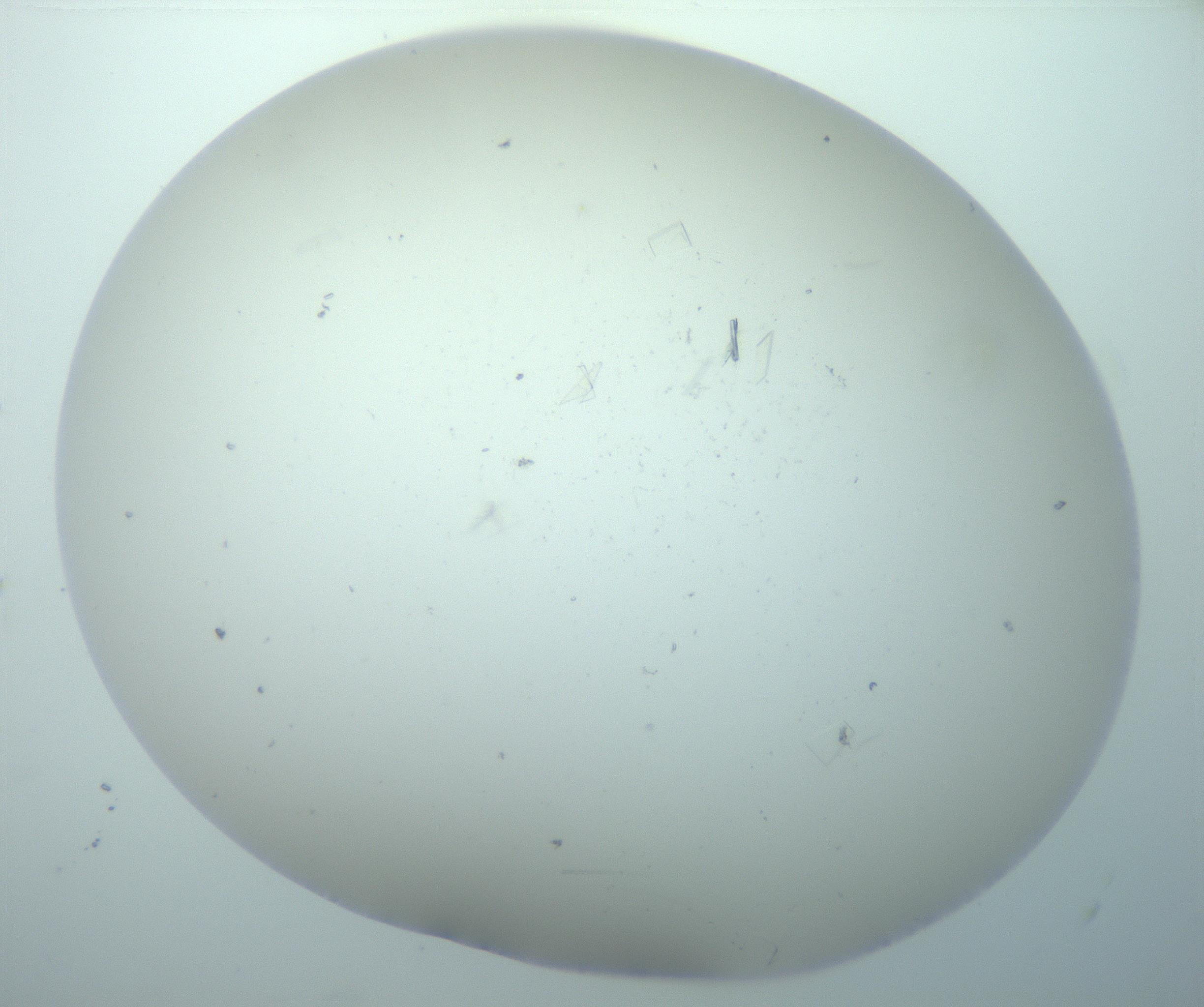 RI01_03_000_0212_Proj1_Clon1_MC_0000MC103180_004_161227_05_07_02_00_99_002_001_RAI.jpg