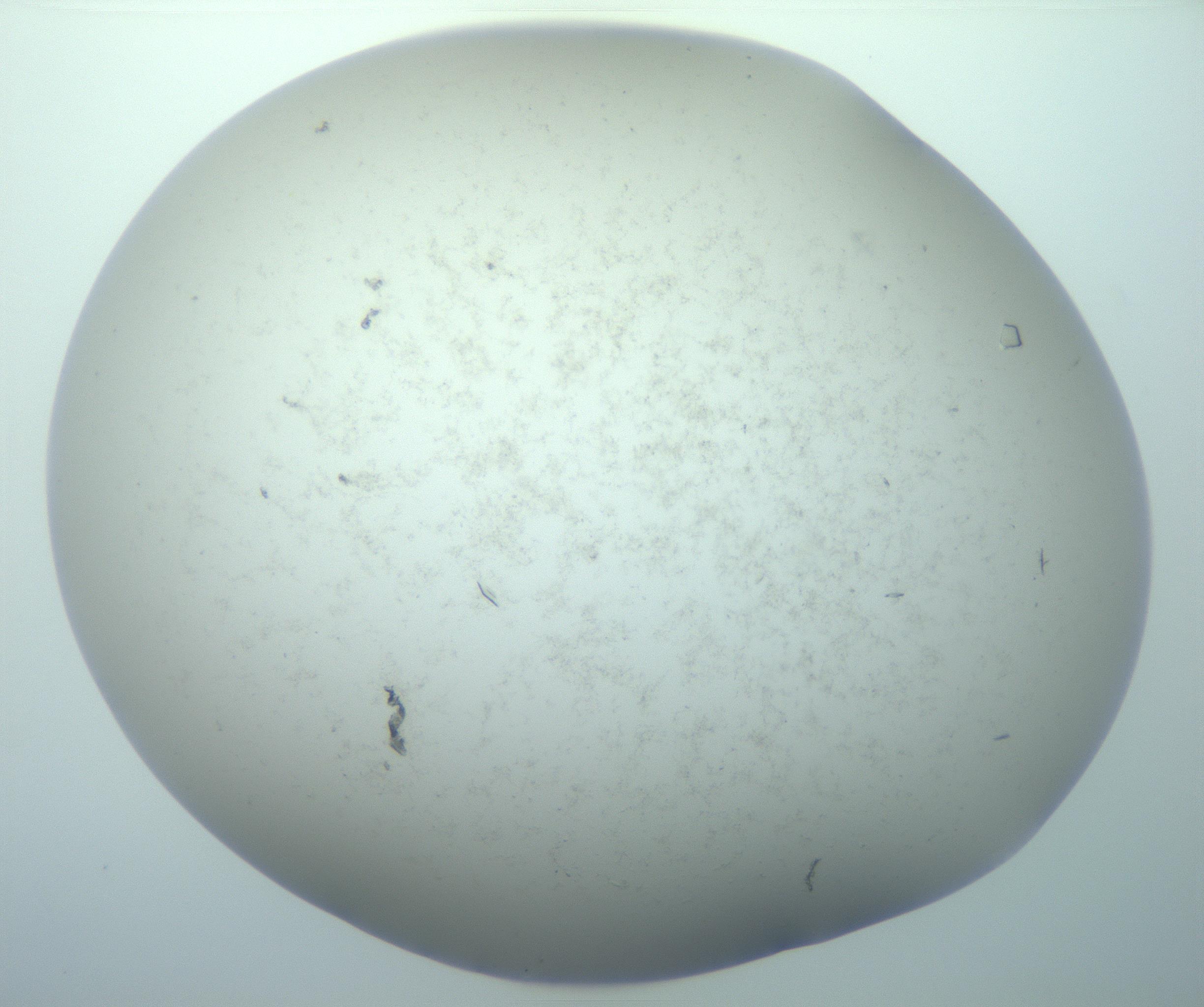 RI01_03_000_0212_Proj1_Clon1_MC_0000MC103180_004_161227_06_08_02_00_99_002_001_RAI.jpg