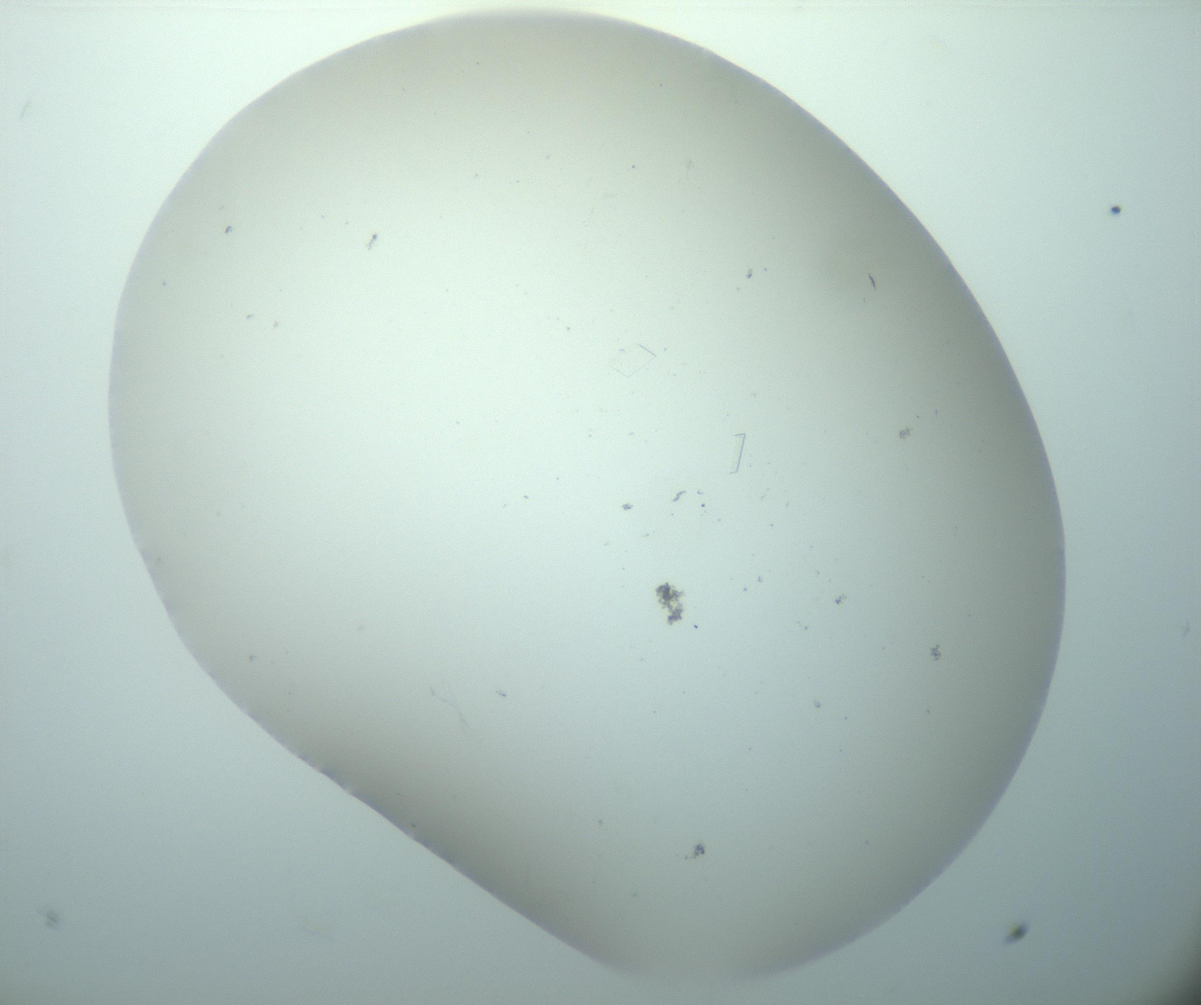 RI01_03_000_0212_Proj1_Clon1_MC_0000MC103180_004_161227_11_02_02_00_99_002_001_RAI.jpg
