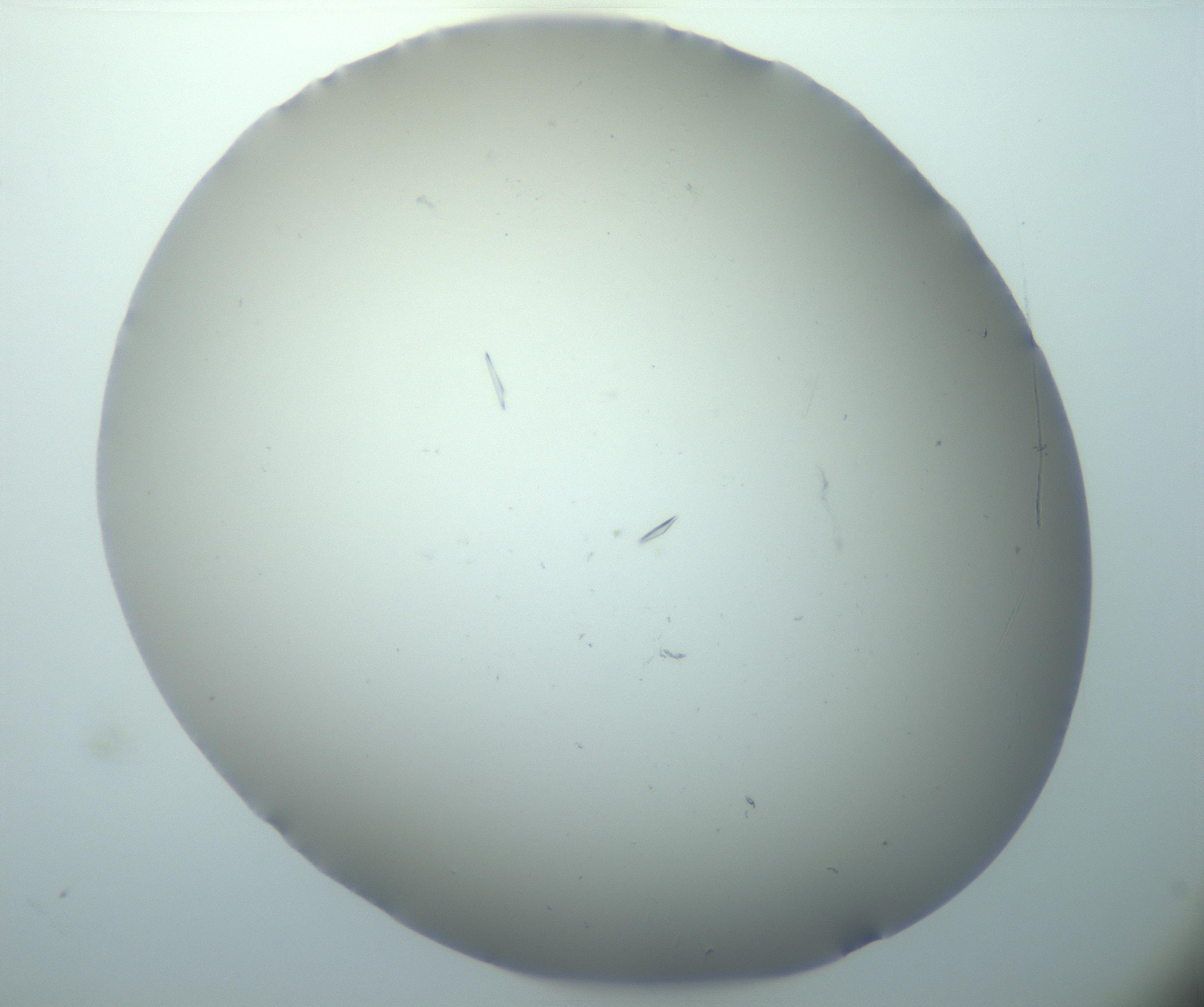 RI01_03_000_0212_Proj1_Clon1_MC_0000MC103180_004_161227_12_03_02_00_99_002_001_RAI.jpg