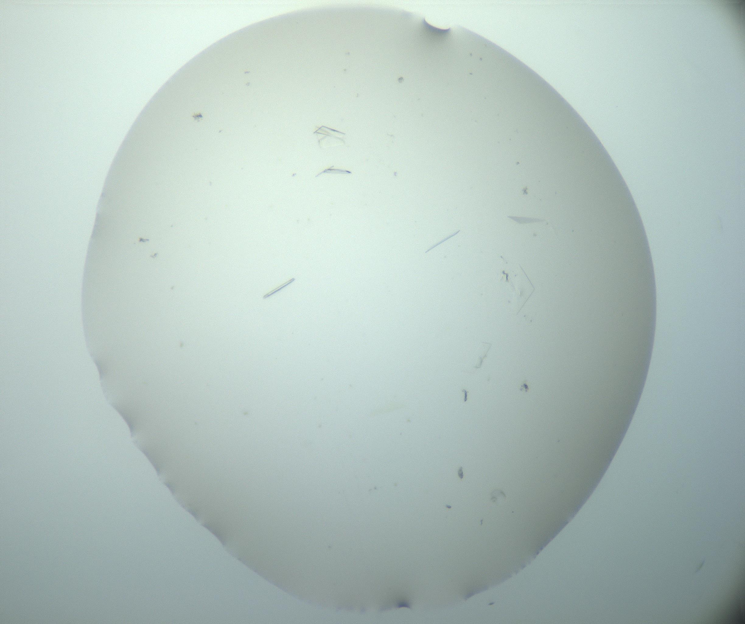 RI01_03_000_0212_Proj1_Clon1_MC_0000MC103180_004_161227_12_05_02_00_99_002_001_RAI.jpg
