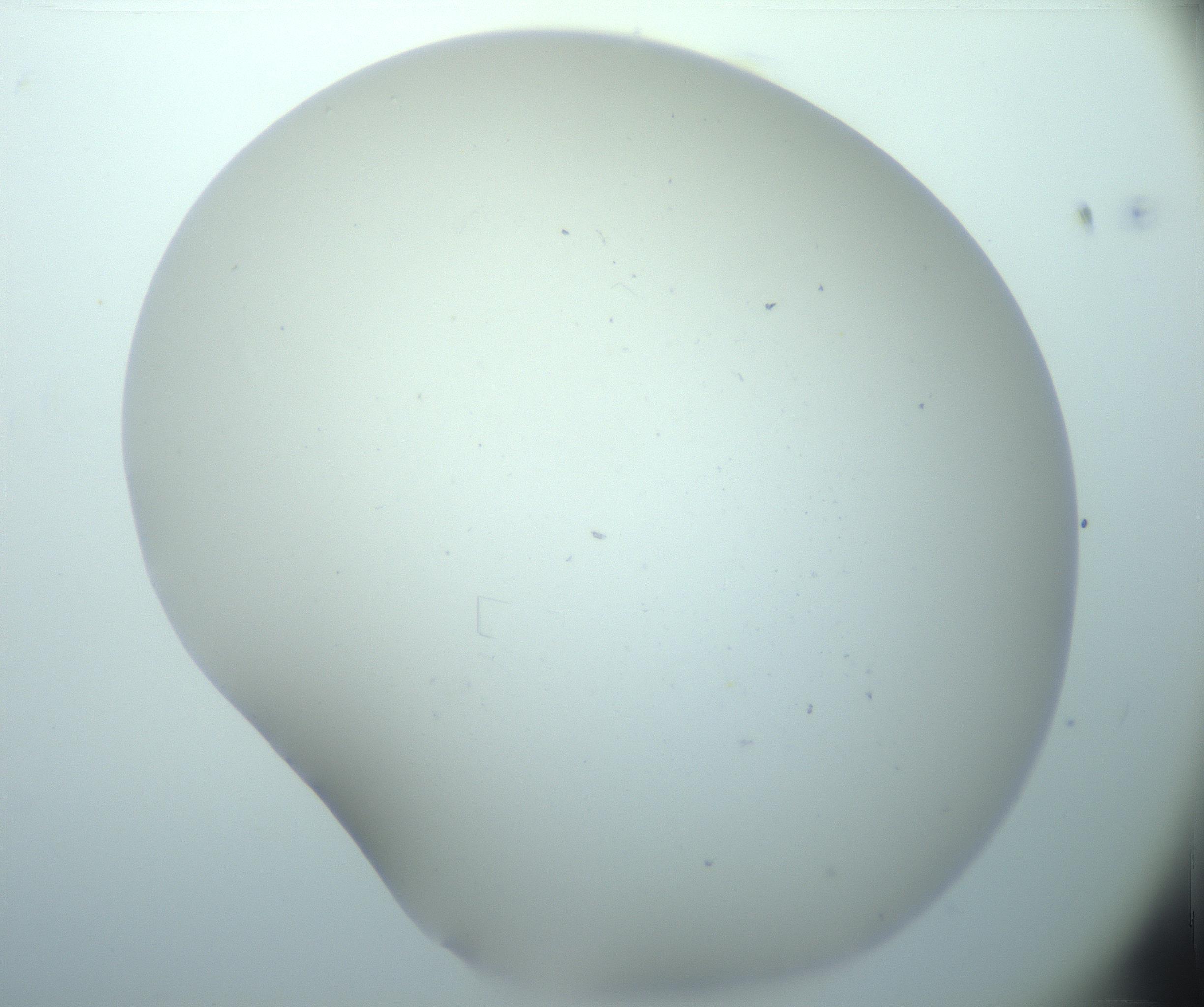 RI01_03_000_0212_Proj1_Clon1_MC_0000MC103180_005_161229_03_01_02_00_99_002_001_RAI.jpg
