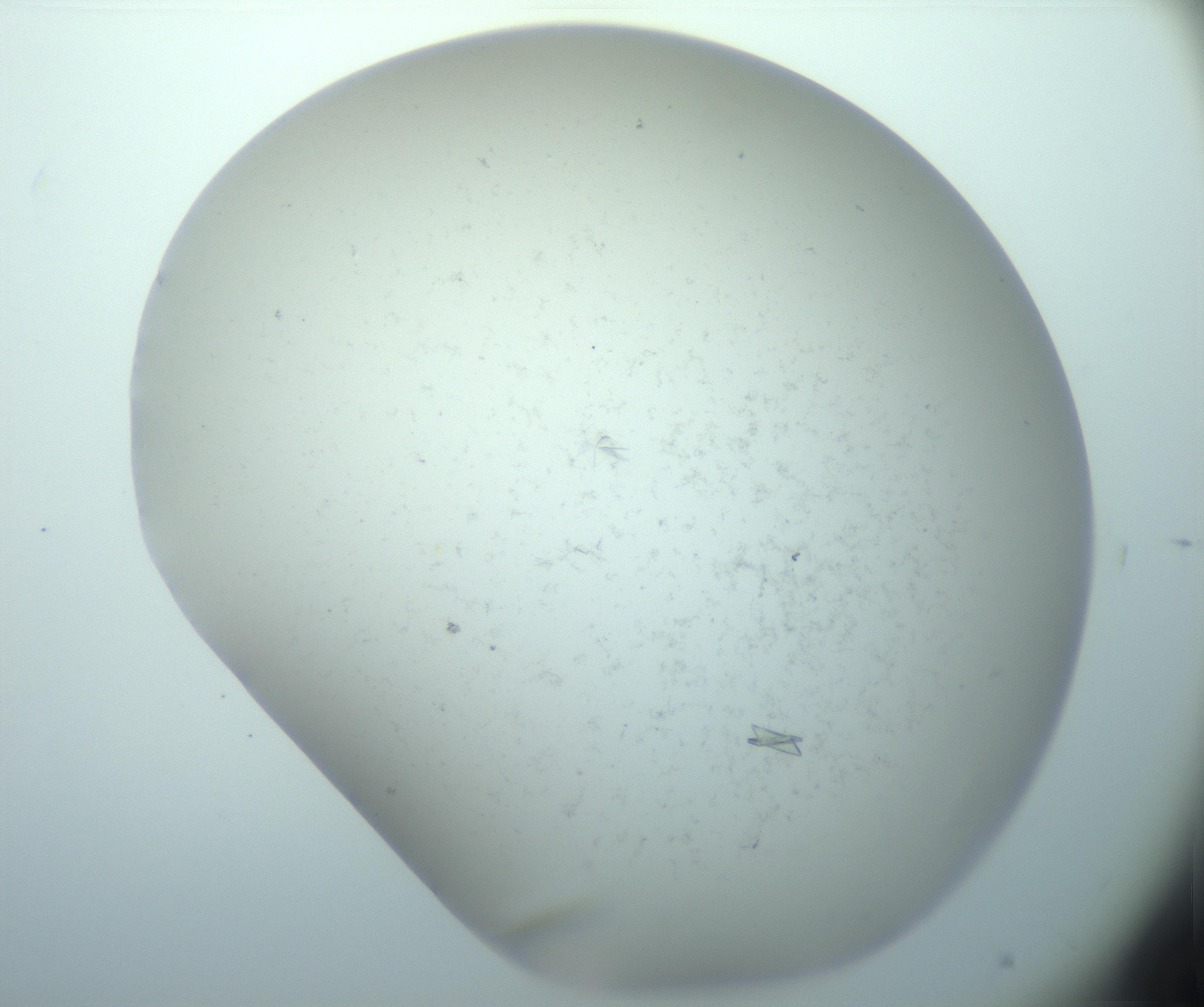 RI01_03_000_0212_Proj1_Clon1_MC_0000MC103180_005_161229_04_01_02_00_99_002_001_RAI.jpg