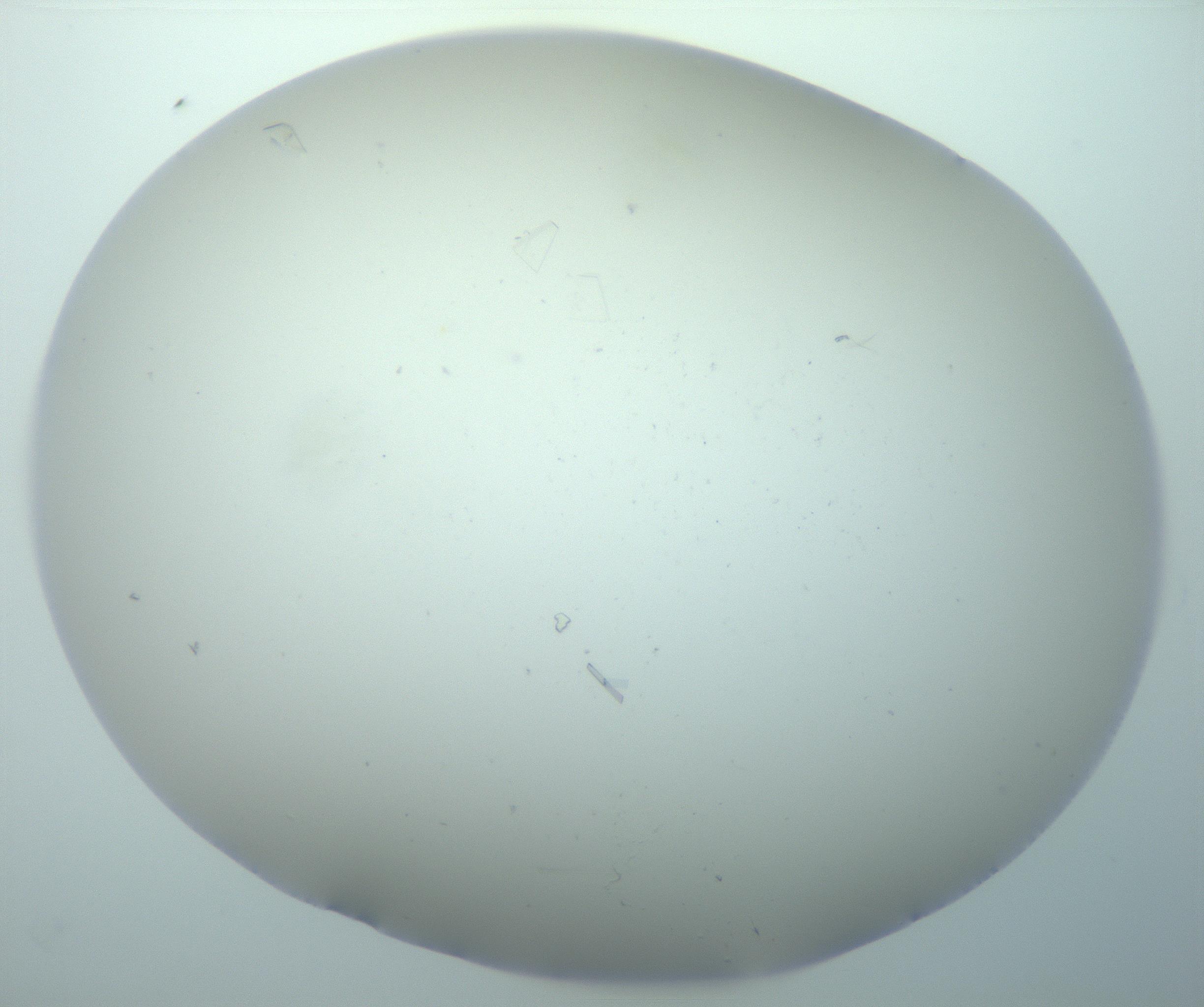 RI01_03_000_0212_Proj1_Clon1_MC_0000MC103180_005_161229_04_07_02_00_99_002_001_RAI.jpg