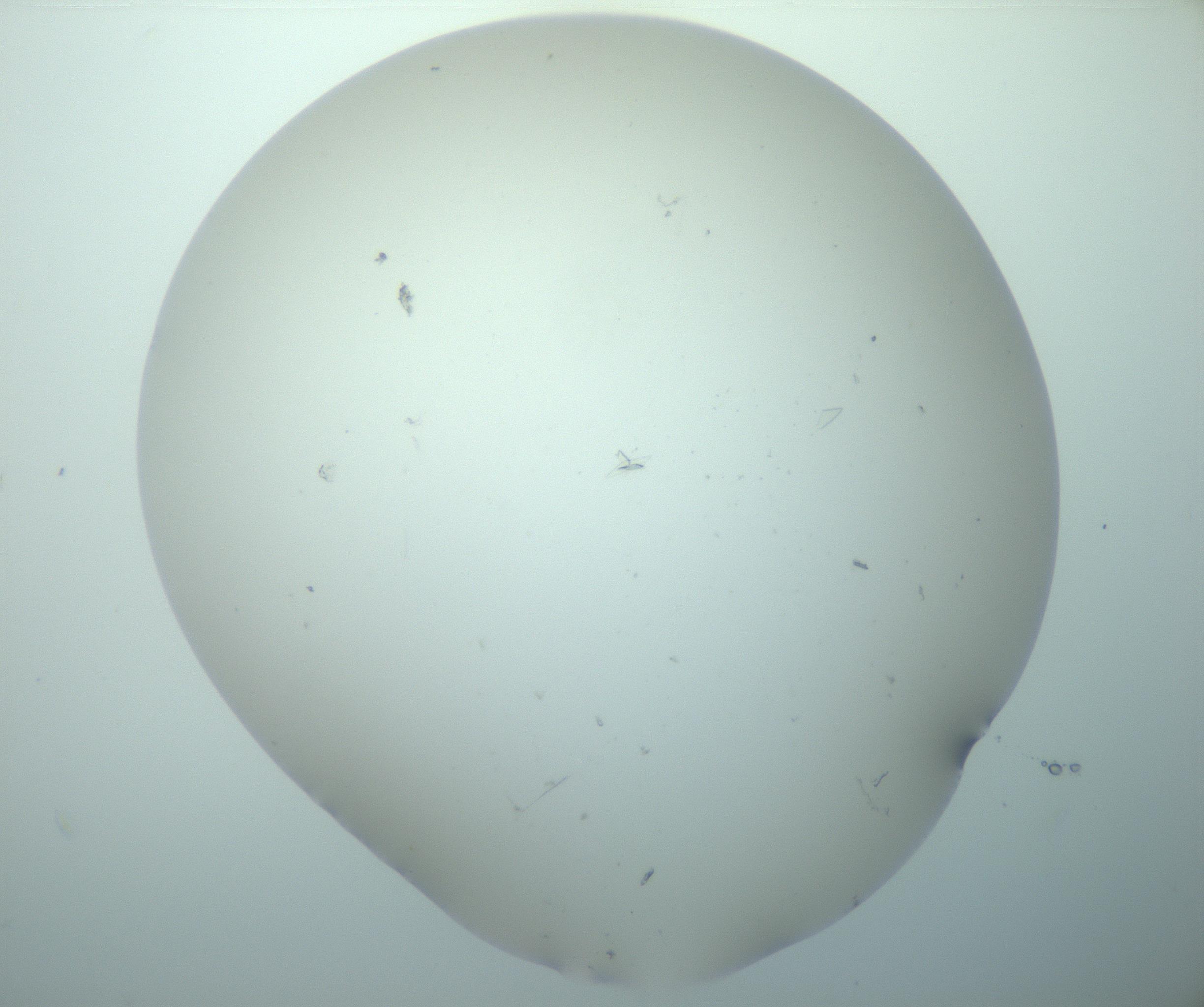 RI01_03_000_0212_Proj1_Clon1_MC_0000MC103180_005_161229_10_04_02_00_99_002_001_RAI.jpg