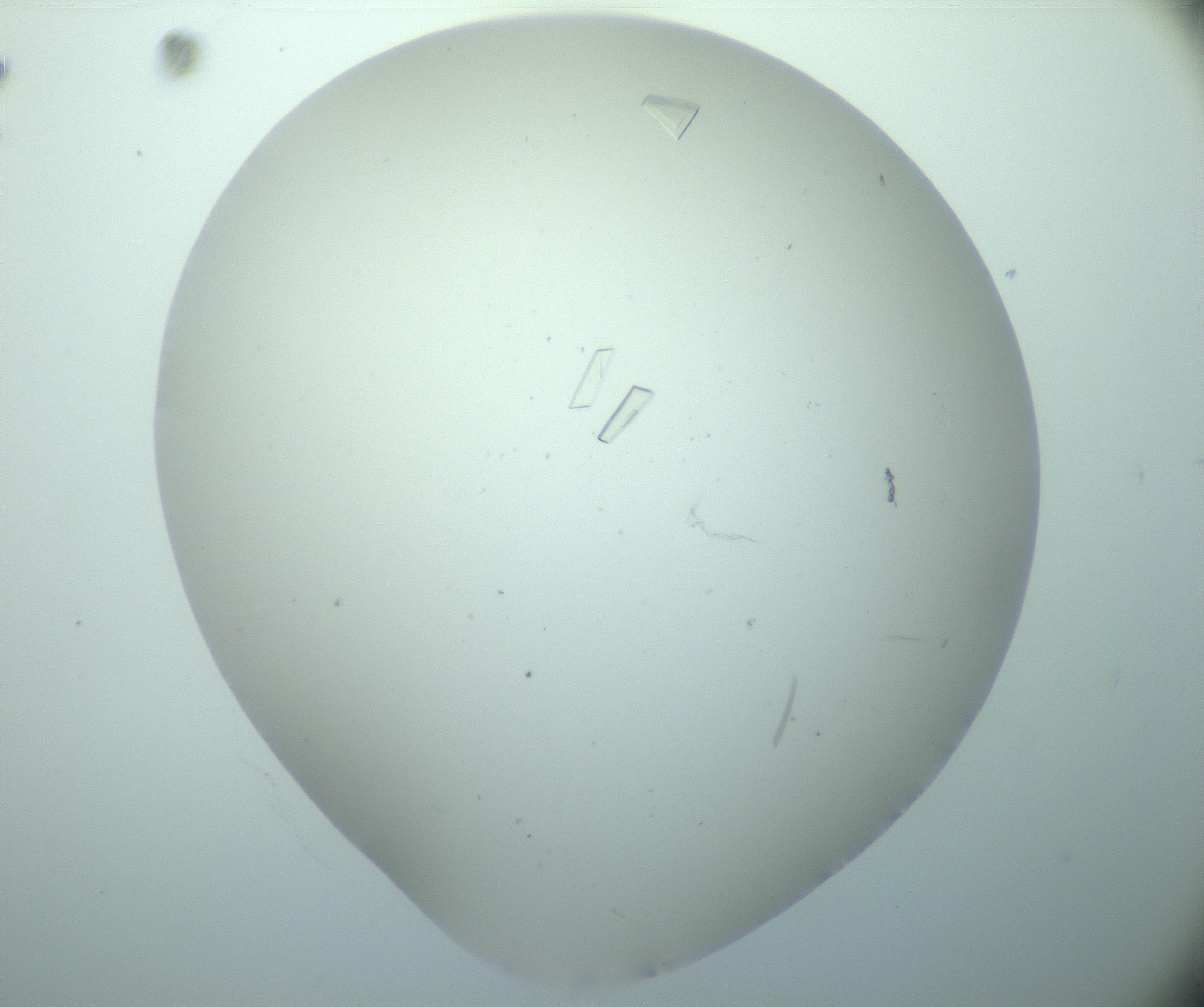 RI01_03_000_0212_Proj1_Clon1_MC_0000MC103180_005_161229_10_05_02_00_99_002_001_RAI.jpg